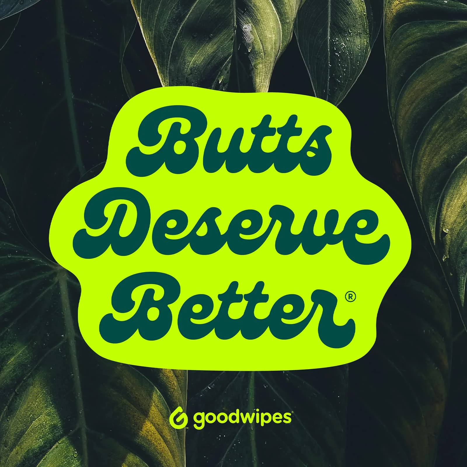 goodwipes Flushable Butt Wipes Made with Vitamin E & Aloe - Soft & Gentle Wet Wipe Dispenser for Home Use, Septic & Sewer Safe - Largest Adult Toilet Towelettes - Rosewater, 360 Count (6 Packs) - Image 6