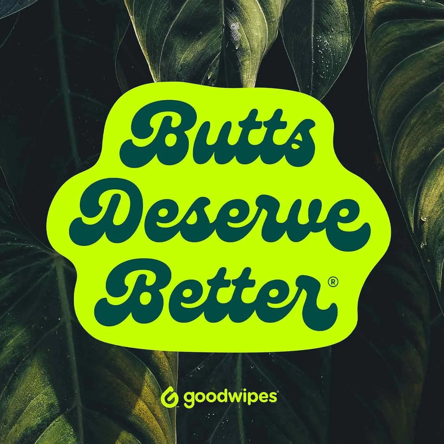 Goodwipes Flushable Butt Wipes Made with Vitamin E & Aloe - Soft & Gentle Wet Wipe Dispenser for Home Use, Septic & Sewer Safe - Largest Adult Toilet Towelettes - Variety Pack, 240 Count (4 Packs) - Image 3