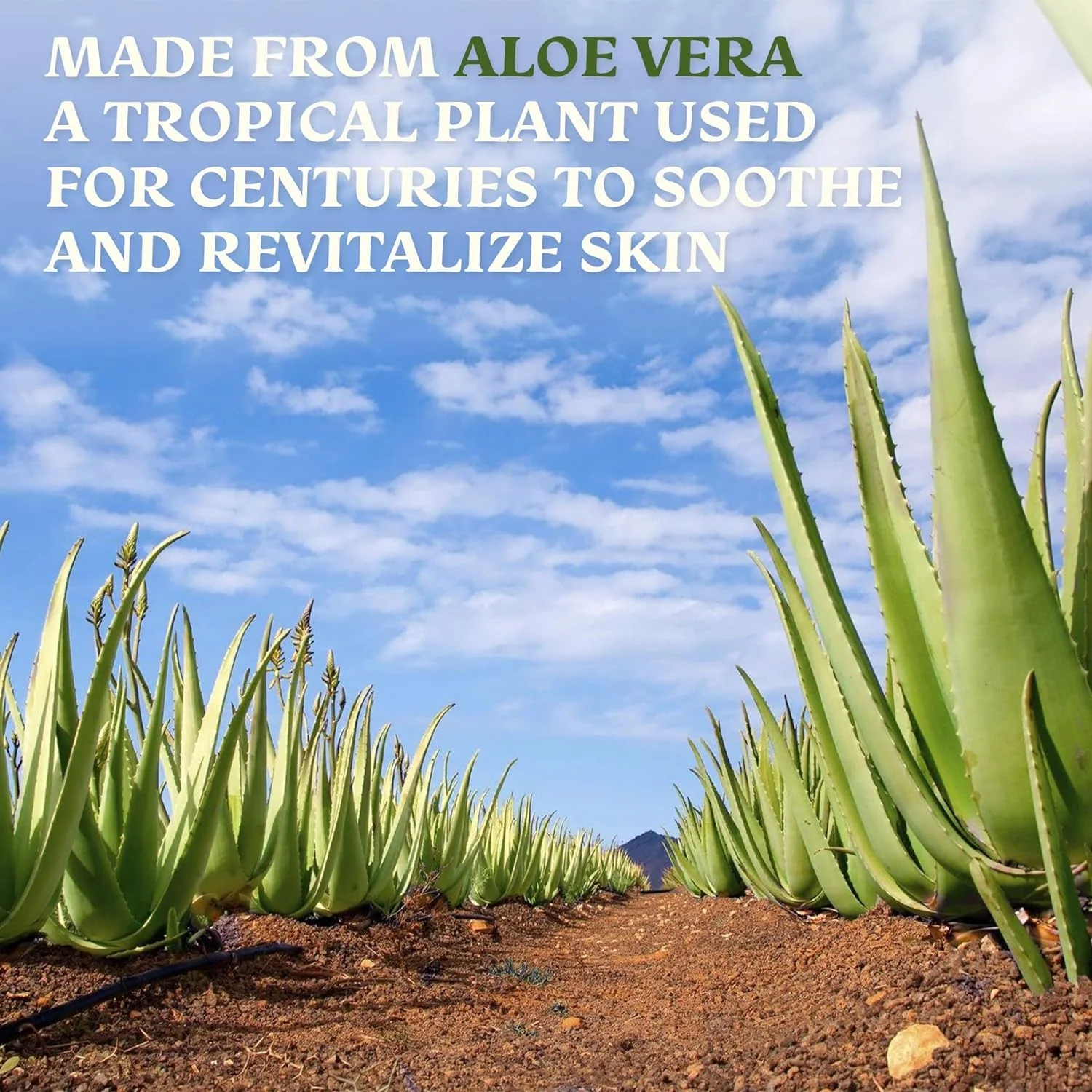 Green Leaf Naturals Amazing Aloe Vera Gel - Freshly Cut, 100% Pure Aloe, Premium Quality, Vegan, Unscented - Natural Sunburn Relief, After Shave, Skin, Face & Hair Care (two 8oz bottles) 16oz - Image 3