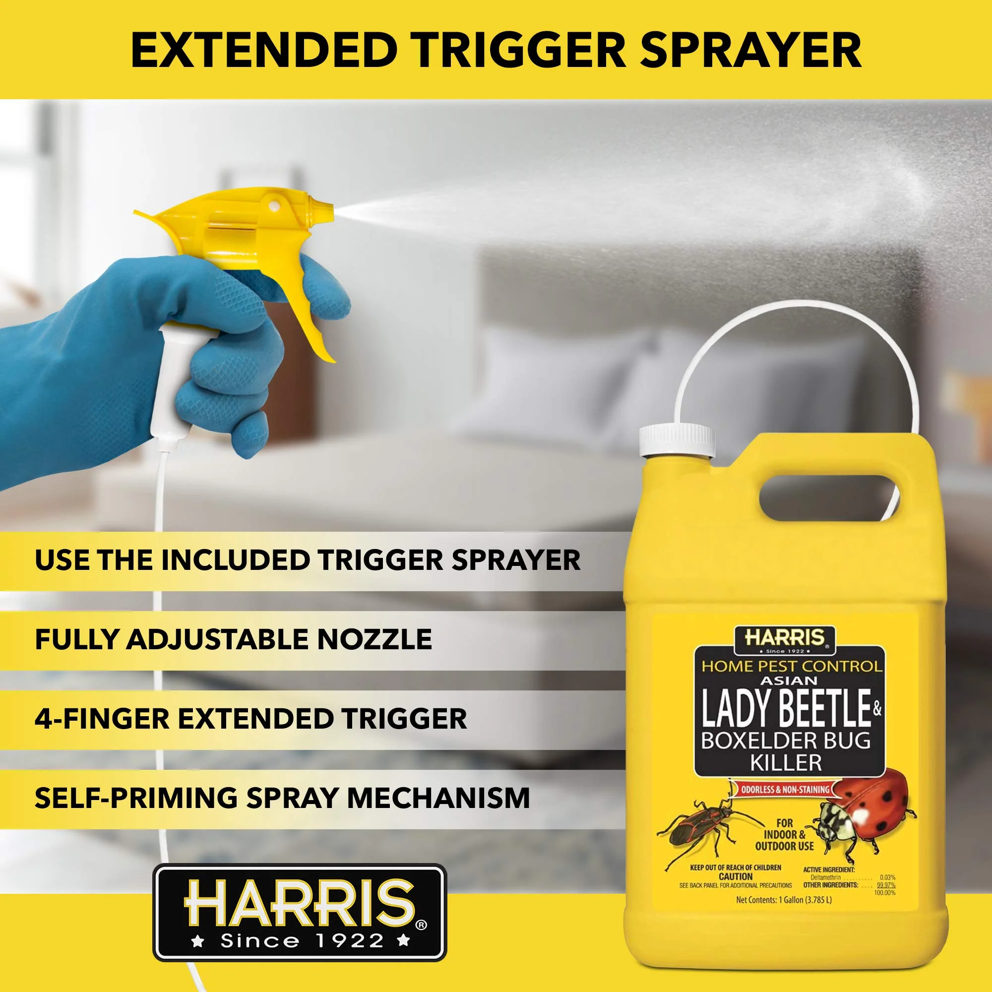 Harris Asian Lady Beetle, Japanese Beetle, and Box Elder Killer, Liquid Spray with Odorless and Non-Staining Extended Residual Kill Formula (Gallon) - Image 5