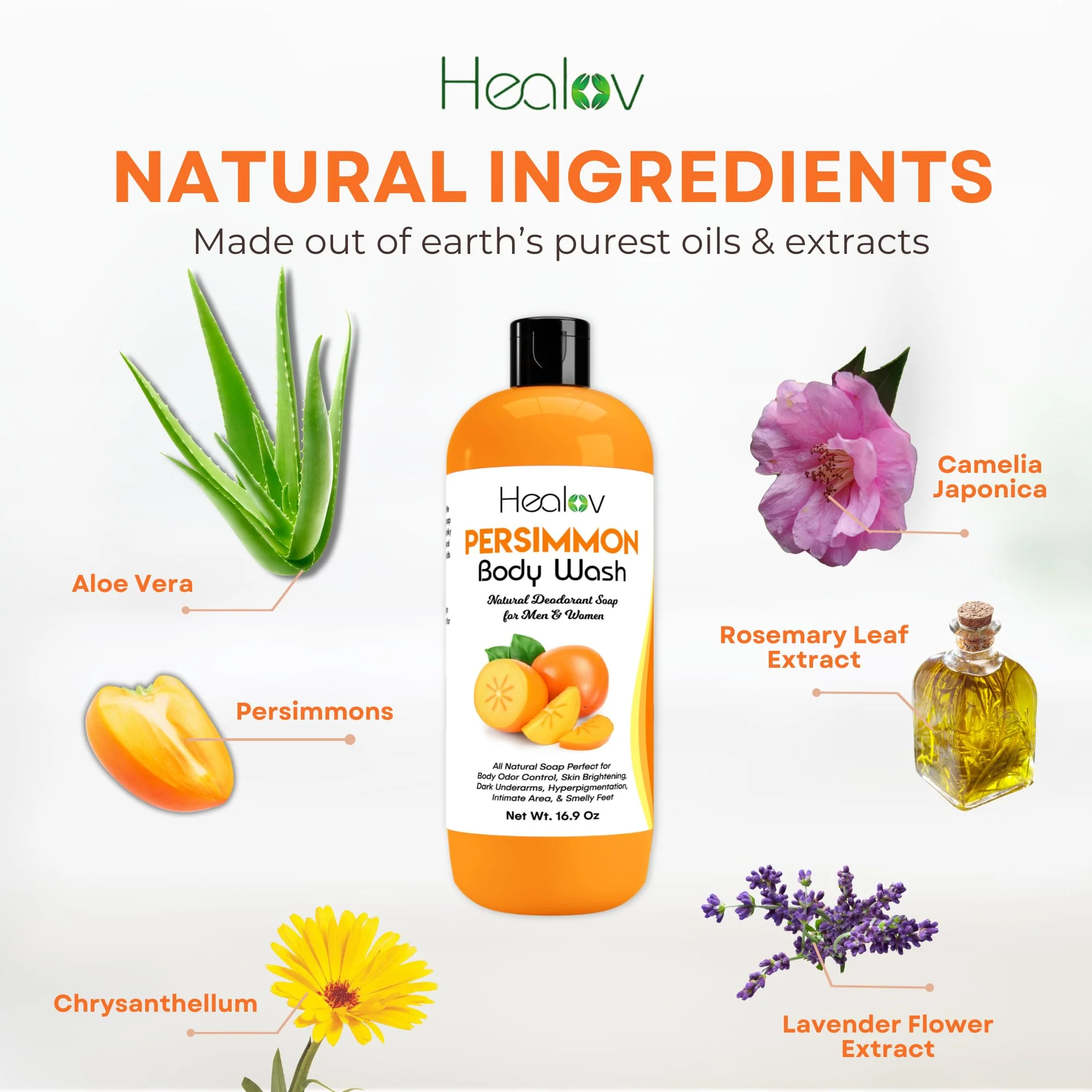 Healov Persimmon Body Wash for Body Odor Control – Purifying Deodorizing Soap for Eliminating Odor – Underarms, Intimate Inner Thigh, Bikini Area, Smelly Feet – Natural Deodorant Soap, Kids Safe - Image 4