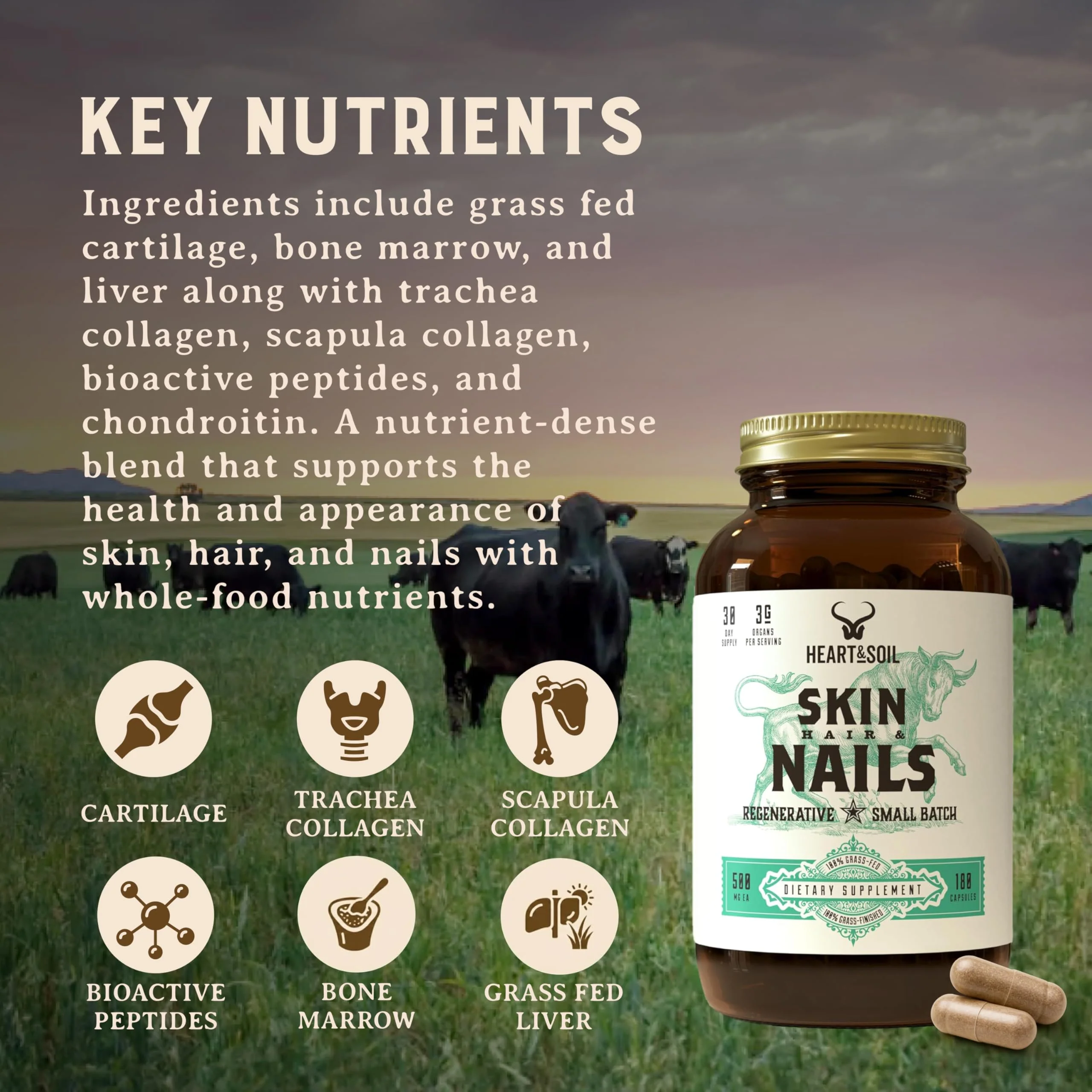 Heart & Soil – 100% Grass Fed & Finished Hair Skin and Nails Supplement from Regenerative Cattle with Cartilage, Liver, & Bone Marrow – 3000mg Beef Organs for Women & Men – Glass Bottle – 180 Capsules - Image 3