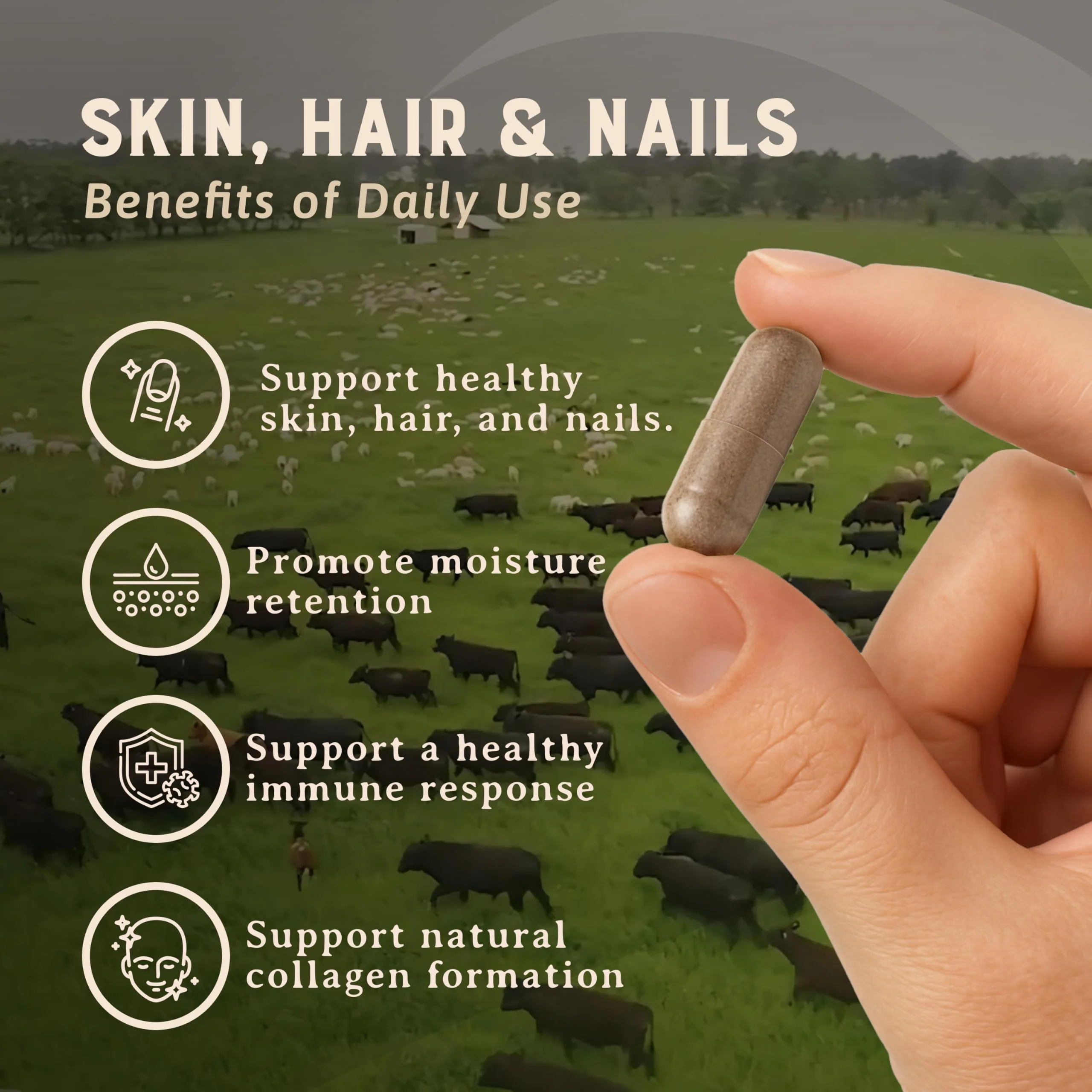 Heart & Soil – 100% Grass Fed & Finished Hair Skin and Nails Supplement from Regenerative Cattle with Cartilage, Liver, & Bone Marrow – 3000mg Beef Organs for Women & Men – Glass Bottle – 180 Capsules - Image 8