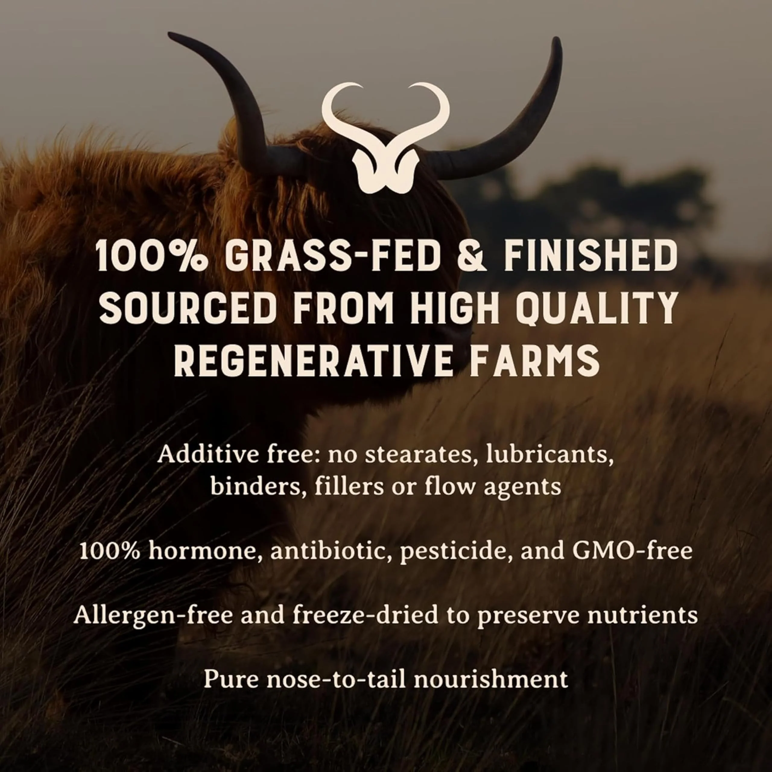 Heart & Soil – 100% Grass Fed & Finished Hair Skin and Nails Supplement from Regenerative Cattle with Cartilage, Liver, & Bone Marrow – 3000mg Beef Organs for Women & Men – Glass Bottle – 180 Capsules - Image 9