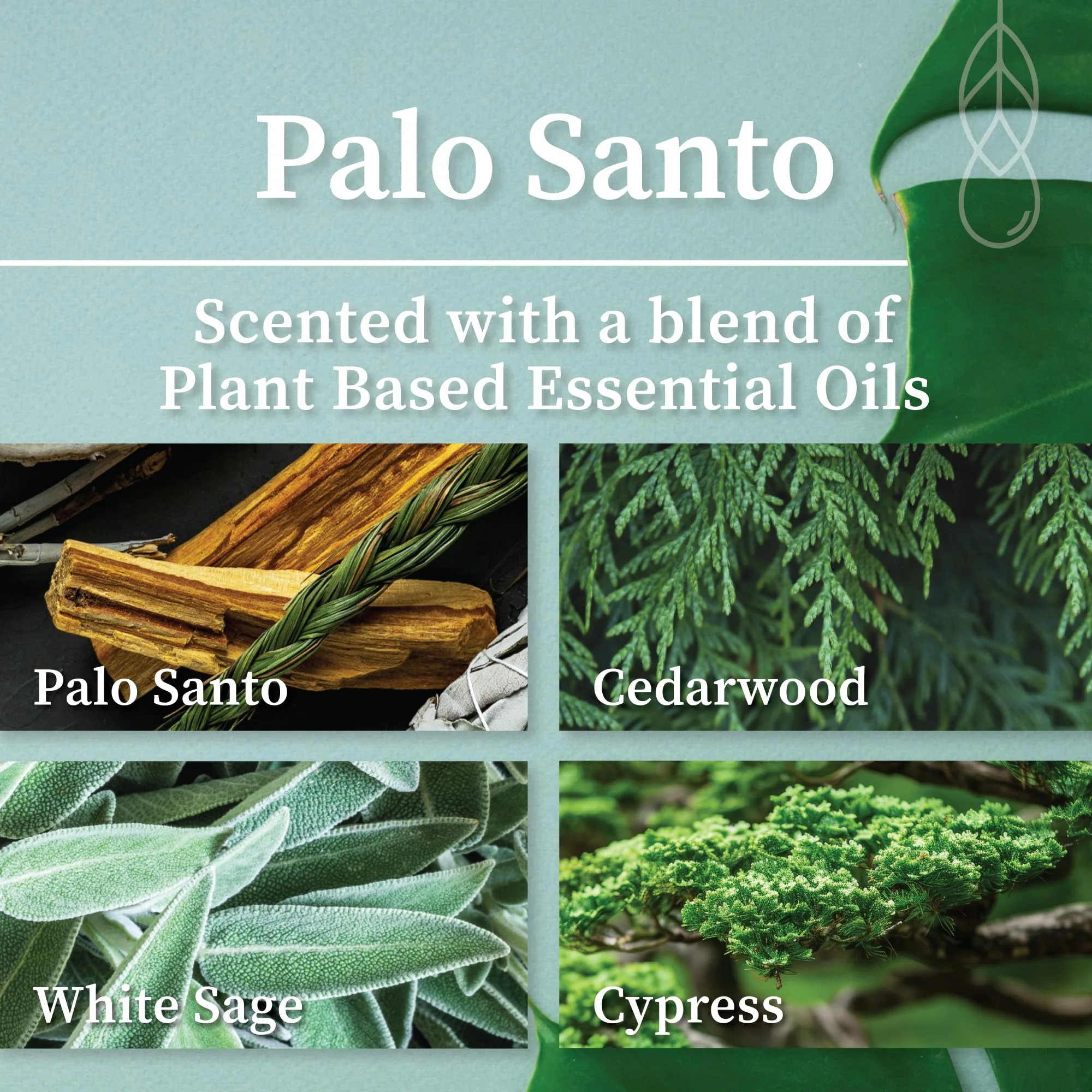 Hemlock Park Palo Santo Apothecary Hand-Poured Scented Candle | Crackling Wood Wick, Botanical Fragrance & Coconut Wax | Up to 60 Hour Burn Time | 8 oz - Image 3
