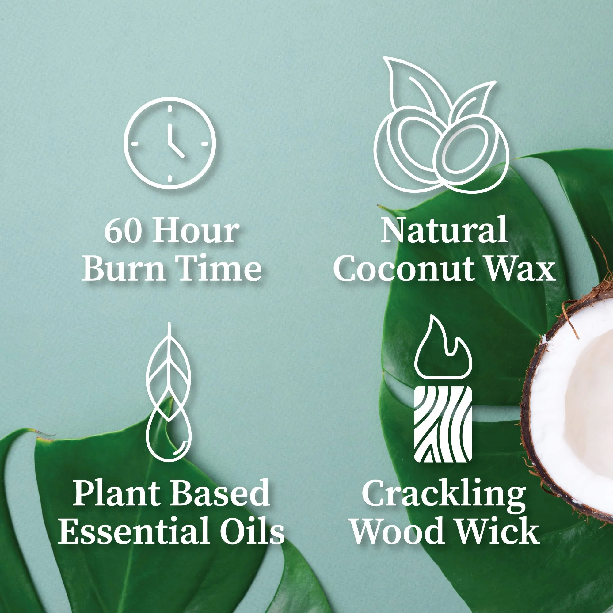 Hemlock Park Palo Santo Apothecary Hand-Poured Scented Candle | Crackling Wood Wick, Botanical Fragrance & Coconut Wax | Up to 60 Hour Burn Time | 8 oz - Image 5