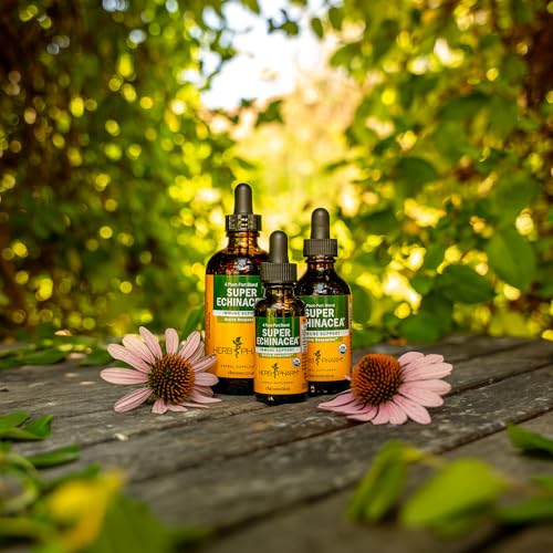 Herb Pharm Super Echinacea® Liquid Extract: USDA Organic Immune Support for Year-Round | Fast-Absorbing Echinacea Tincture, 4 Plant-Part Blend: Root, Leaf, Flower & Seed | Up to ~6 Week Supply, 2 oz* - Image 4