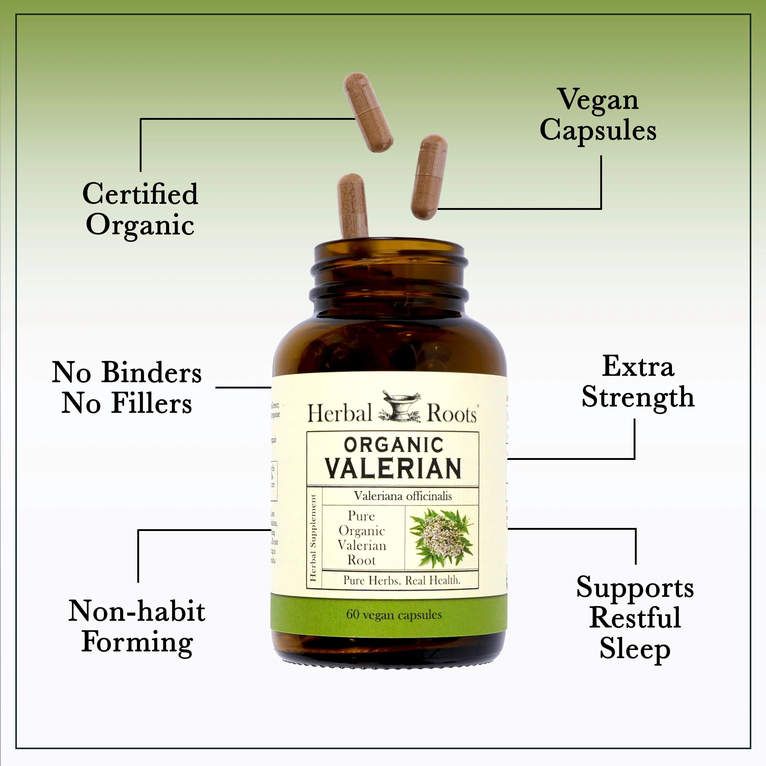 Herbal Roots Pure Organic Valerian Root Capsules - 900 mg - Non-Habit Forming with no Melatonin, Non-GMO - 60 Count Vegan Capsules, Herbal Supplement - Image 4