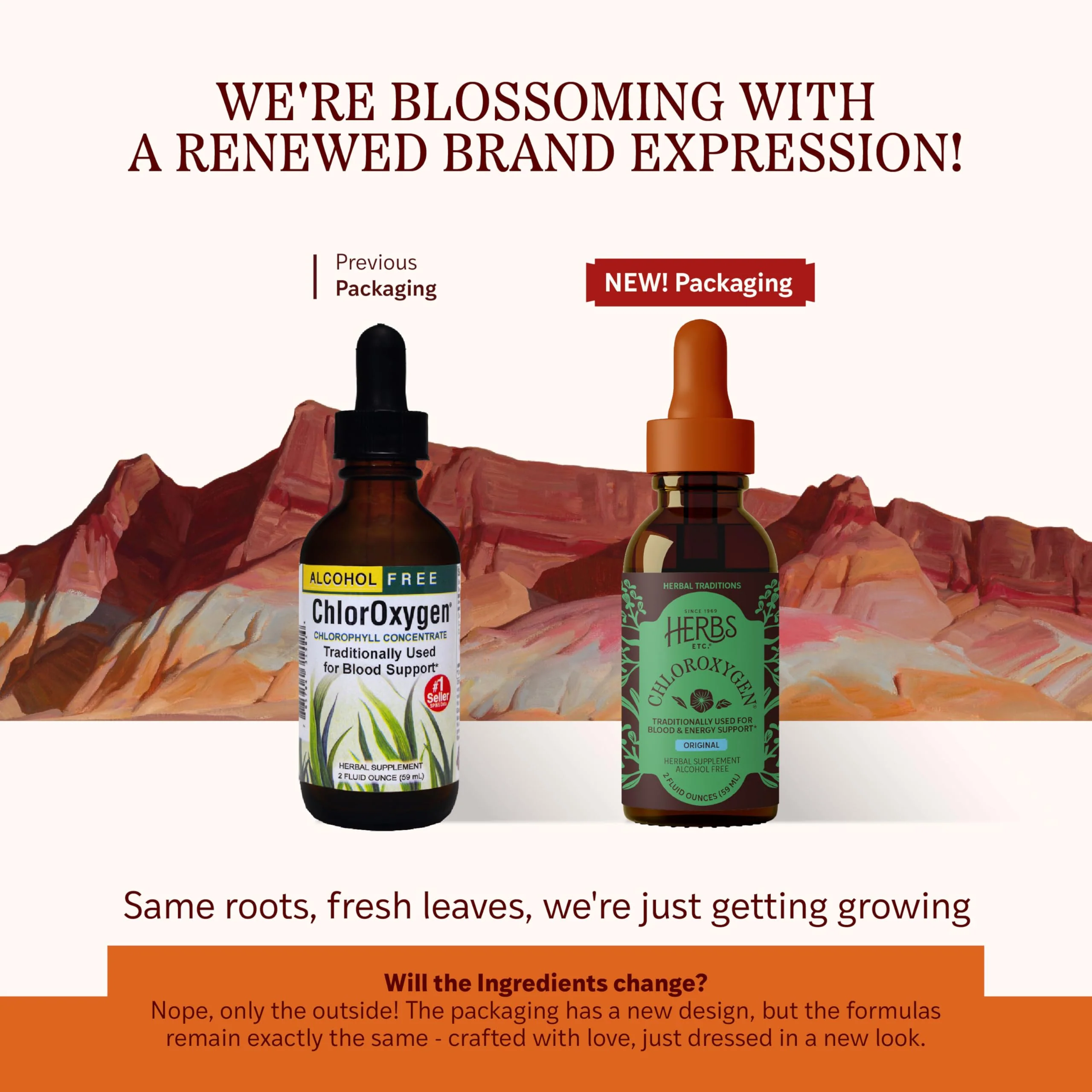 Herbs Etc. ChlorOxygen Chlorophyll Concentrate - Highly-Concentrated Energy Support - Aids Healthy Blood Circulation - Natural Vitality Support - Alcohol-Free - 2 fl oz (About 132 Servings) - Image 7
