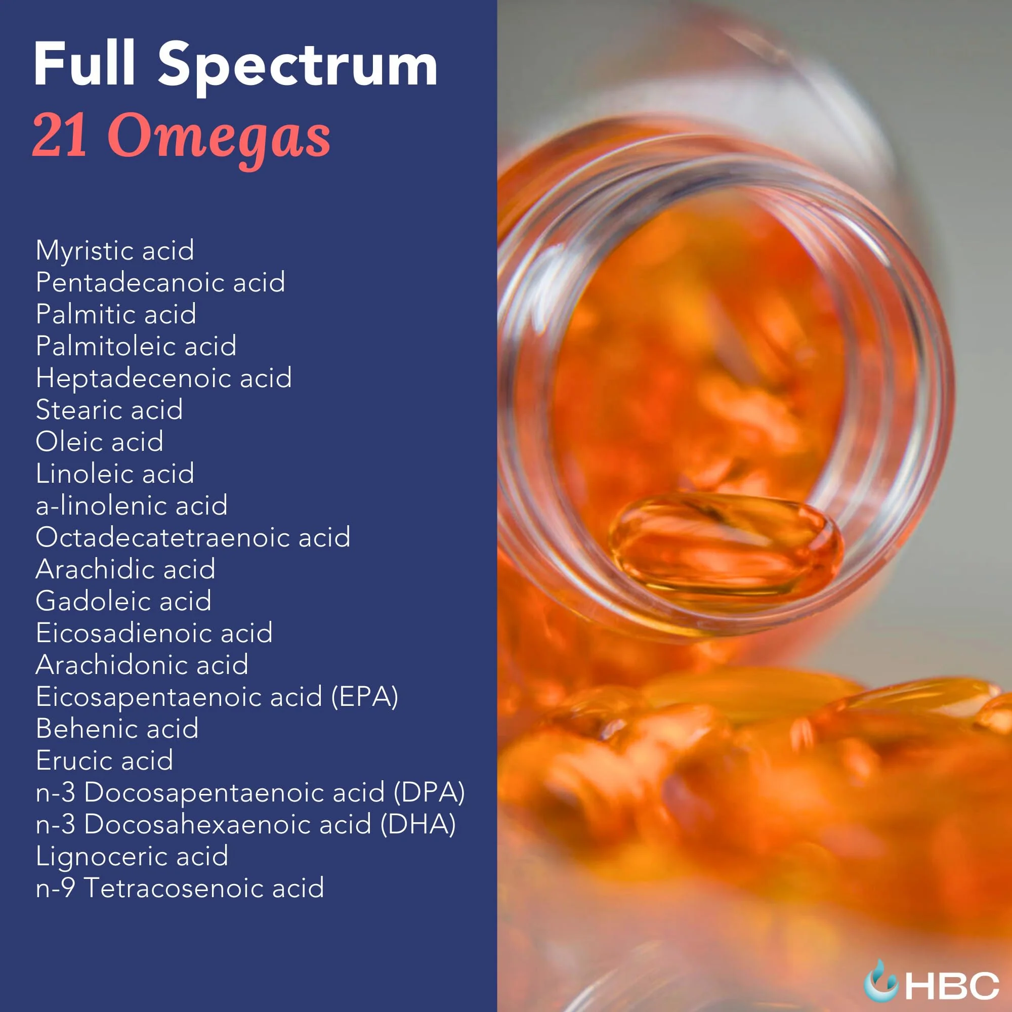 High Strength Omega 3 Fish Oil - 1000mg, Norwegian Salmon Oil with EPA & DHA, No Burping or Aftertaste, Omega 3 Fatty Acids Supplement for Eye, Brain & Heart, Triglyceride Form - 180 Capsules - Image 2