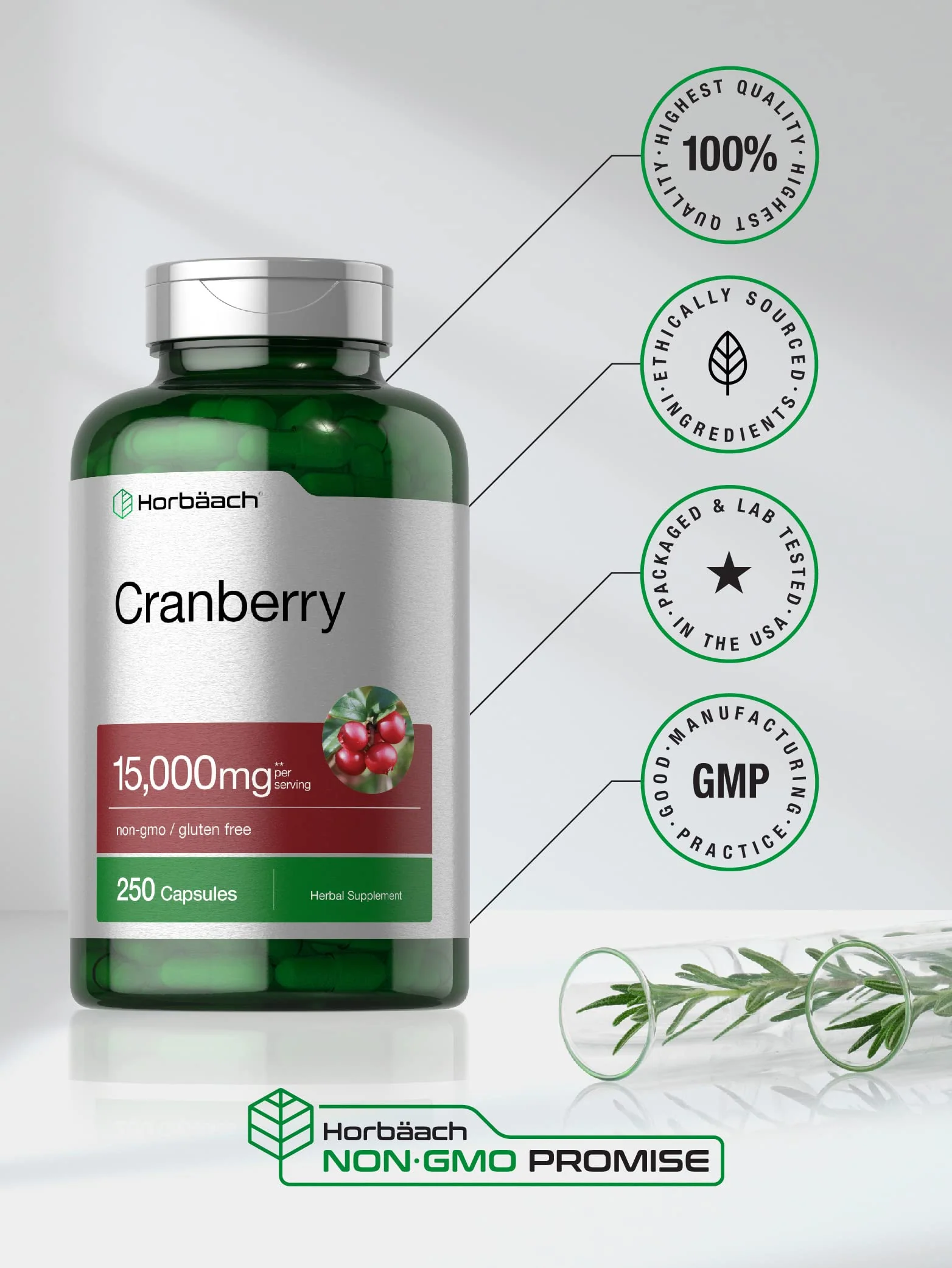 Horbäach Cranberry Pills + Vitamin C | 250 Capsules | Non-GMO and Gluten Free Supplement from Concentrate Extract - Image 4