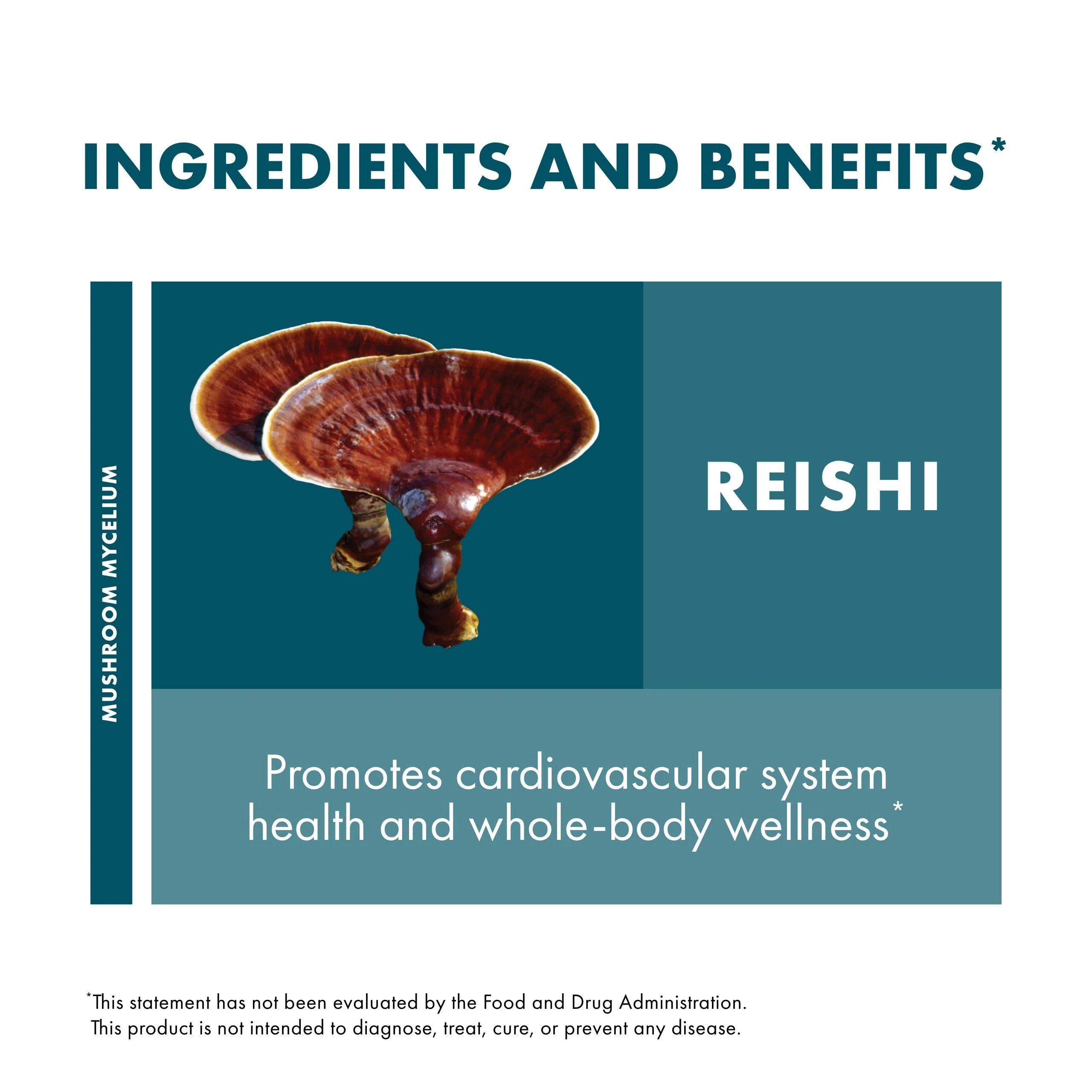 Host Defense Reishi Capsules - Heart & Immune Health Support Supplement - Mushroom Supplement to Support Energy & Vitality - Reishi Supplement to Aid Overall Well-Being - 120 Capsules - Image 3