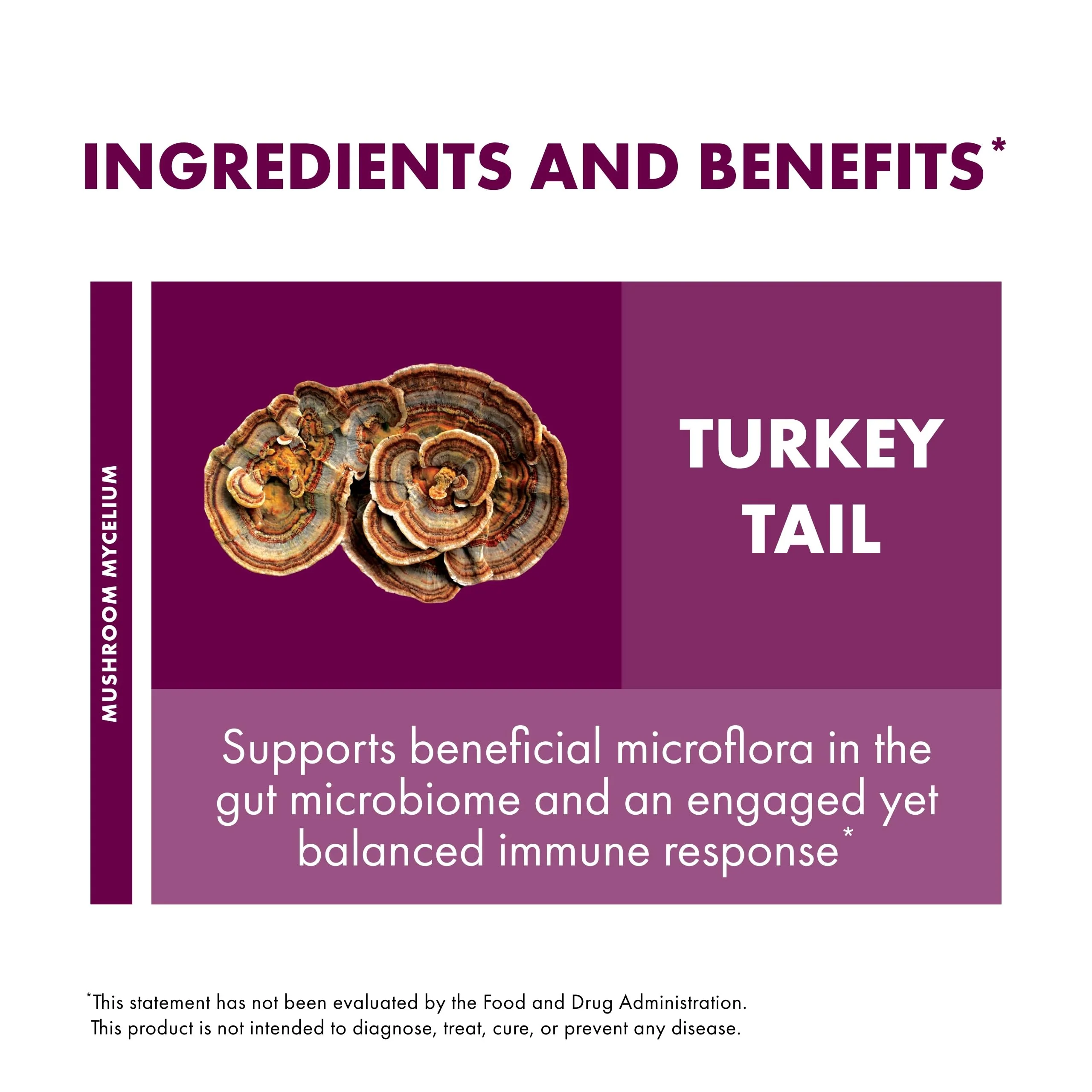 Host Defense Turkey Tail Mushroom Powder - Digestive Health & Immune Response Support Supplement - Mushroom Supplement for Gastrointestinal & Gut Microbiome Support - 7 oz (133 Servings)* - Image 5