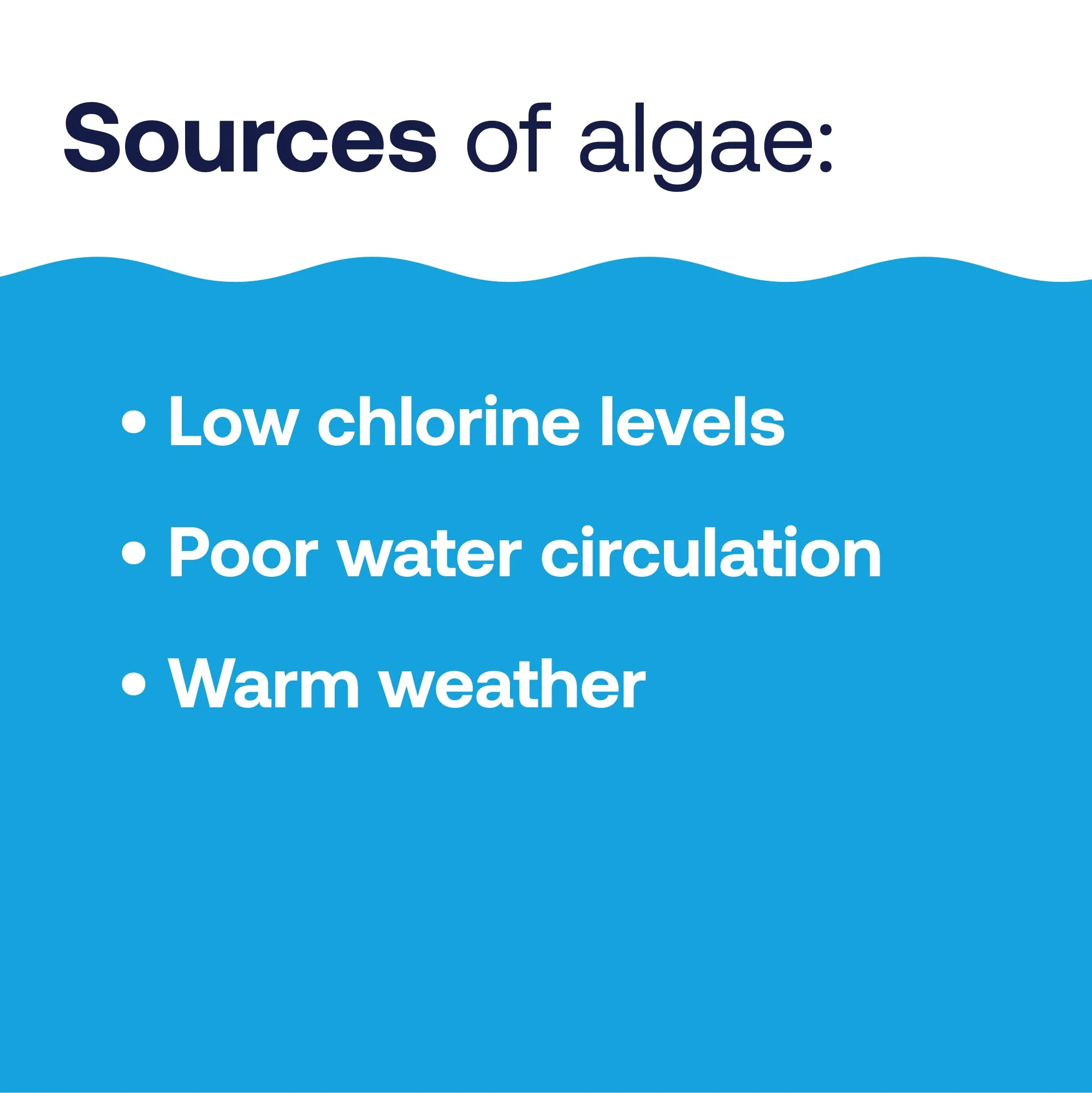 HTH 67289 Swimming Pool Care Algae Guard Ultra, Swimming Pool Chemical, Long Lasting Formula, 32 fl oz - Image 3