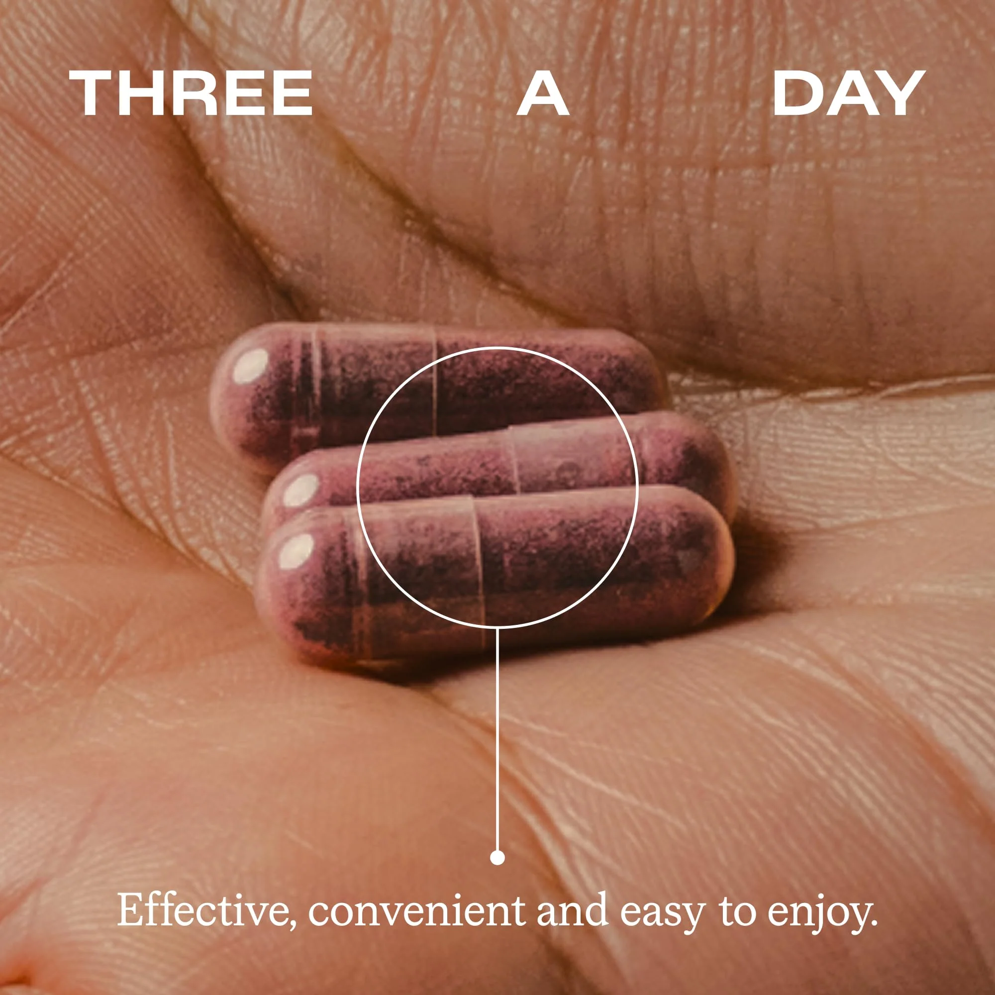 Humann SuperBeets Beet Root Capsules Quick Release 1000mg, Helps Support Nitric Oxide Production, Blood Pressure Support, Heart Health, Contains Non-GMO Beetroot Powder, Studied Antioxidants, 90 Count - Image 9