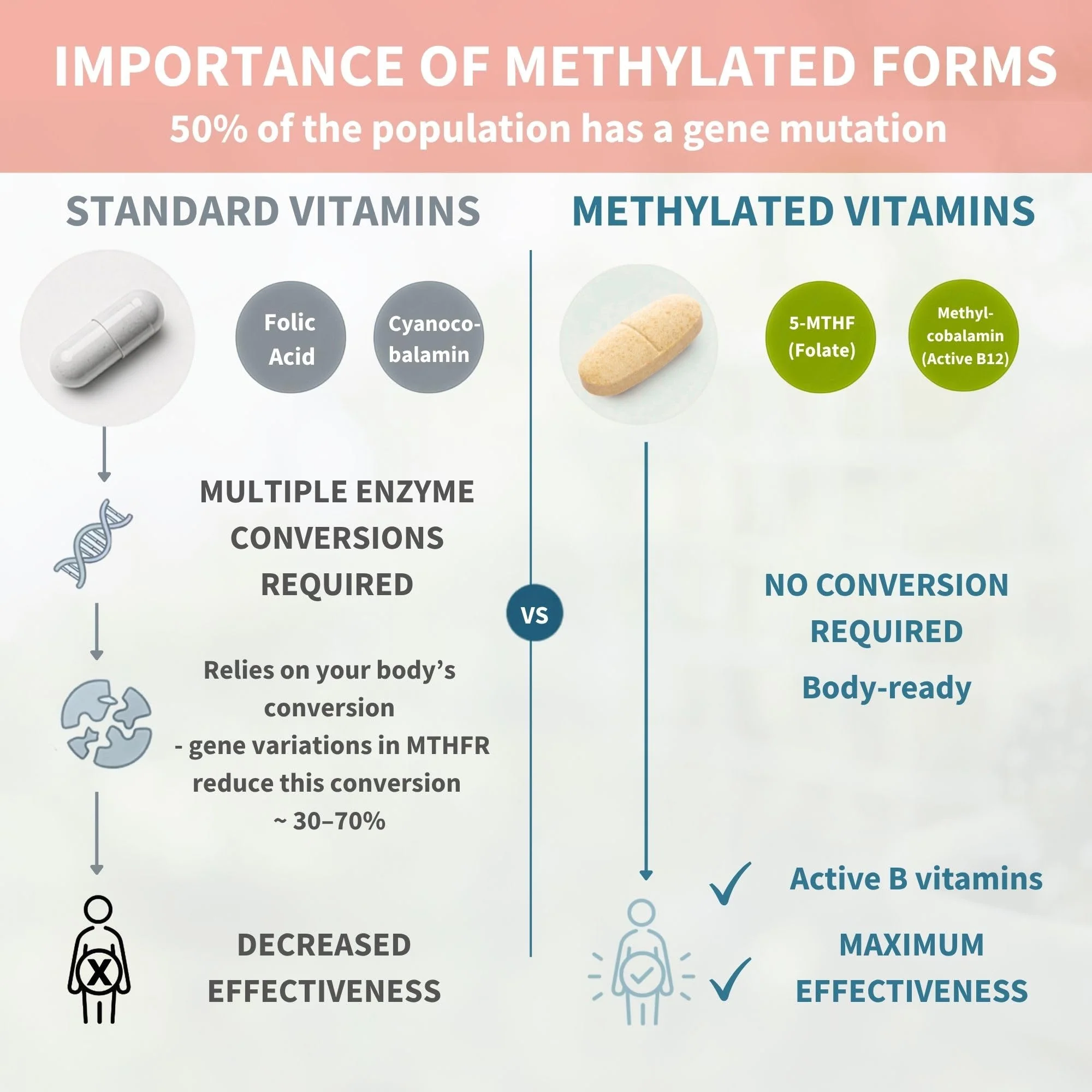 Igennus Methylated Multivitamin for Women 50+, Calcium & Magnesium for Bone Support, Sustained Release & Active B-Vitamins, Iron-Free Formula, Antioxidant Support, Clean Label, 60 Tablets - Image 4