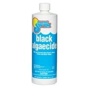 In The Swim Black Algaecide – Eradicates Black Algae in Swimming Pools - Copper Sulfate Pentahydrate - 1 Quart - Image 3
