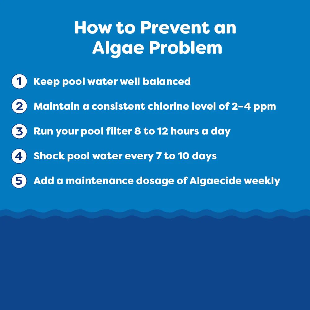 In The Swim Super Algaecide for Above Ground or Inground Swimming Pools – Low Odor, Non-Foaming Preventative for Yellow/Mustard Algae in Swimming Pools - 7.1% Chelated Copper – 1 Quart - Image 5