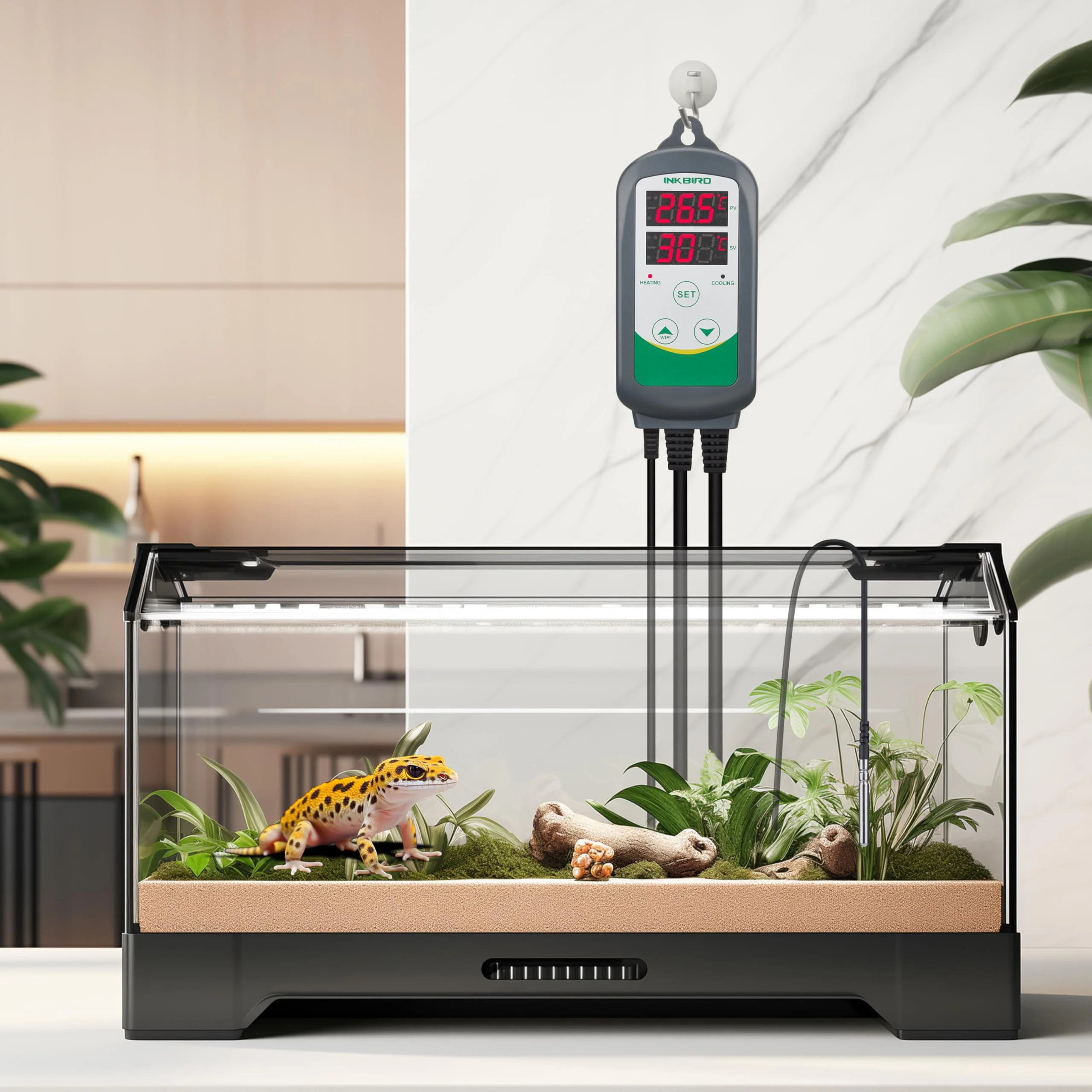 Inkbird ITC-308 Digital Temperature Controller 2-Stage Outlet Thermostat Heating and Cooling Mode Carboy Homebrew Fermenter Greenhouse Terrarium 110V 10A 1100W - Image 5