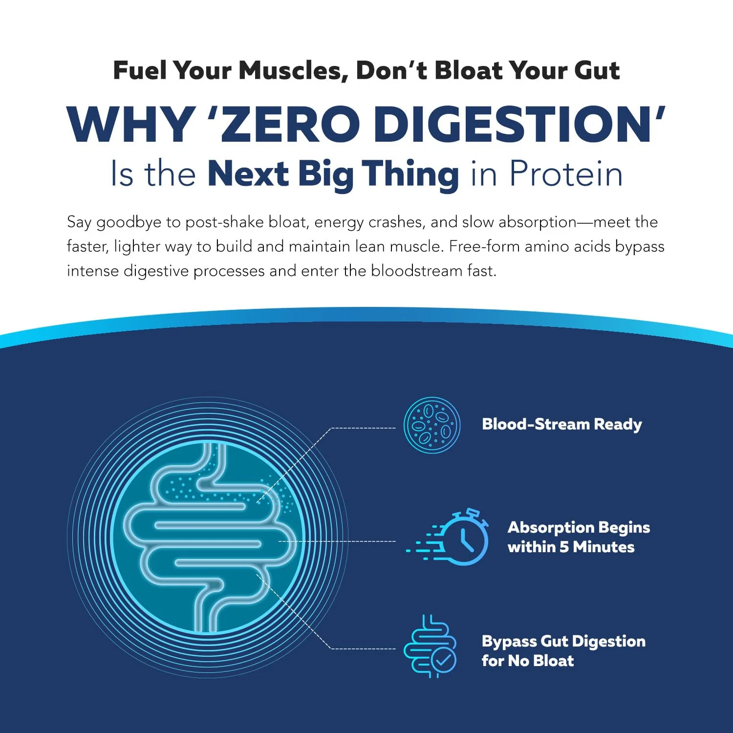 Instant Aminos - EAA+BCAA - 10 Essential Amino Acids Supplement - Rapid Absorption, Zero Digestion - Supports Lean Muscle, Recovery & Aging - 321% DIAAS Protein Score - Wild Berry (30 Servings) - Image 7
