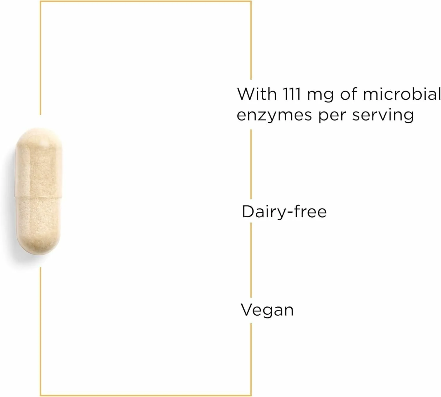 Integrative Therapeutics Lipase Concentrate-HP - Enzyme Supplement for the Digestion of Fats - Nutrient Absorption & GI Tract Health Support* - Dairy-Free & Vegan - 90 Count (45 Servings) - Image 6