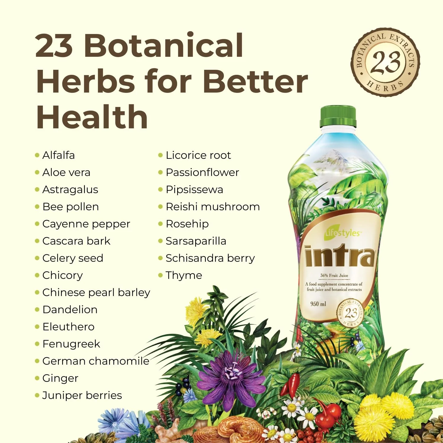 Intra Lifestyles Herbal Juice Drink – Botanical Beverage for Immune and Energy Support – 23 Botanical Extracts – Made in Canada Trio Pack (950 mL /32 fl oz each) - Image 6