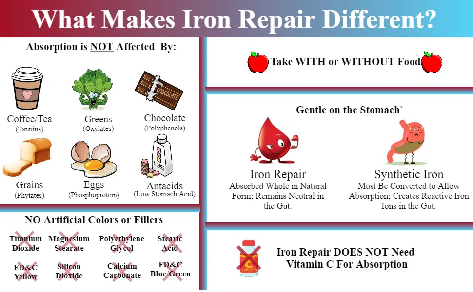 Iron Repair Plus Natural Iron Supplement, Best Absorption Gentle on Stomach, Monash Low FODMAP, Raise Hemoglobin & Ferritin for Women, Teens & Pregnancy Methylated B-12 & Folate, 90 Gelatin Capsules - Image 3