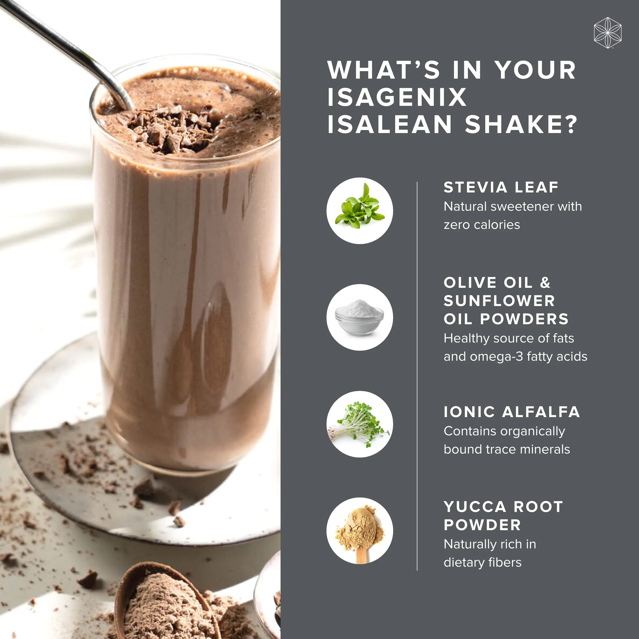 Isagenix IsaLean Shake - 24 g Protein - Ready-to-Drink Meal Replacement Powder - Supports Healthy Metabolism & Lean Muscle Growth - Image 4