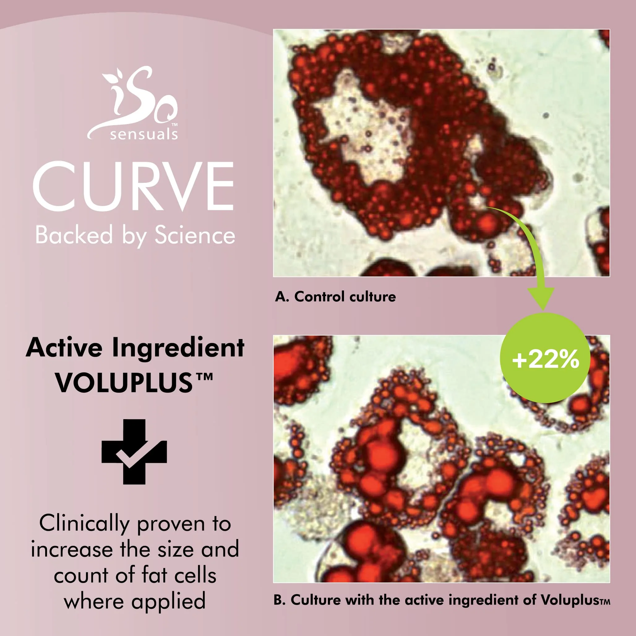 IsoSensuals CURVE Butt Enhancement Cream - for Women and Men, Natural Growth and Plumping Enhancer, Faster, Thicker, Bigger Results, 2 Month Supply - Image 6