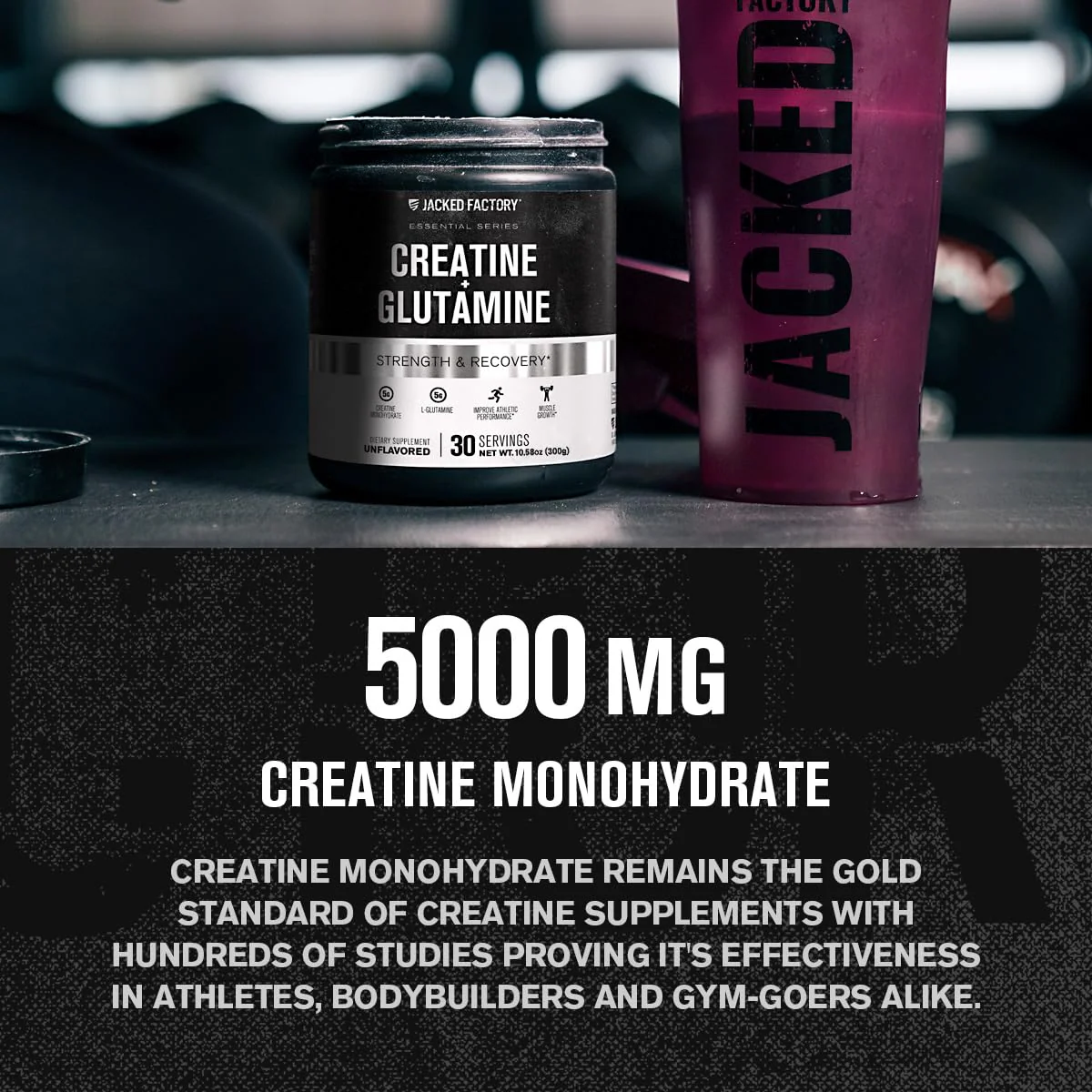 Jacked Factory Creatine + Glutamine - Creatine Supplement with L-Glutamine for Muscle Recovery, Muscle Growth, Increased Strength, Enhanced Energy Output, and Gut Health - 30 Servings, Unflavored - Image 8