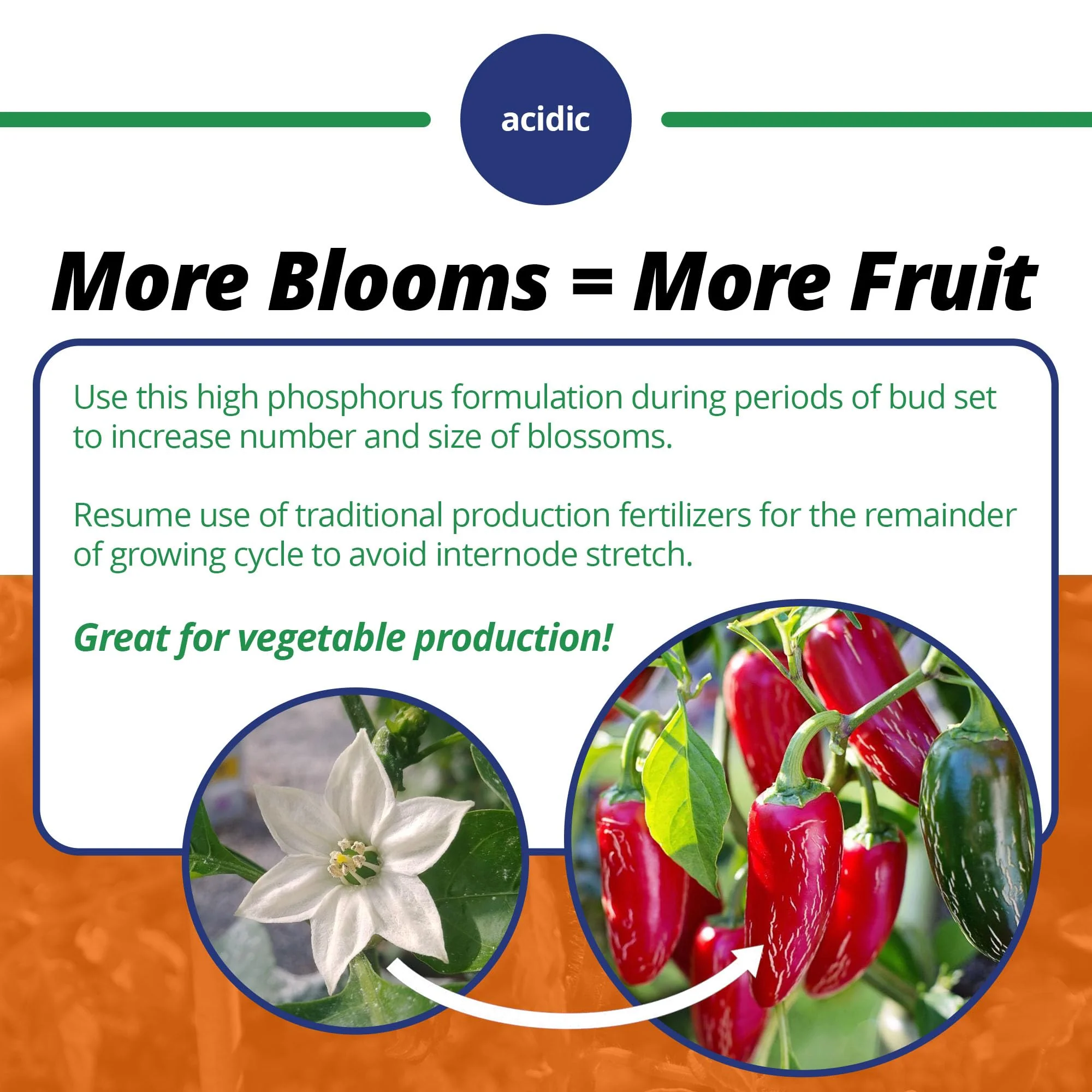 Jack's Classic 10-30-20 Blossom Booster Water-Soluble Fertilizer with Micronutrients for Increasing Color and Quantity of Blooms in Flowering Plants, 10lbs - Image 4