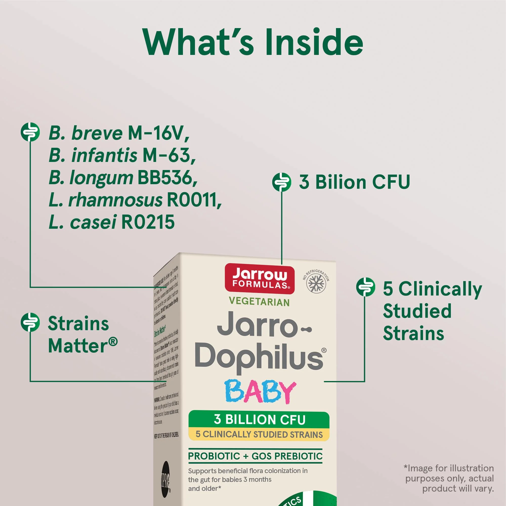 Jarrow Formulas Jarro-Dophilus Baby + GOS - 2.1 oz Powder - Supports Intestinal Health for Babies 3 Months to 4 Years - 60 Servings - Image 4