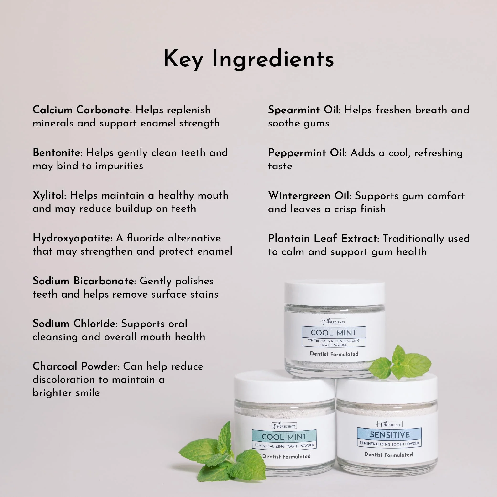 Just Ingredients Remineralizing Tooth Powder - Fluoride-Free, Whitens, Vegan, Clean - 1 oz Whitening - Image 3