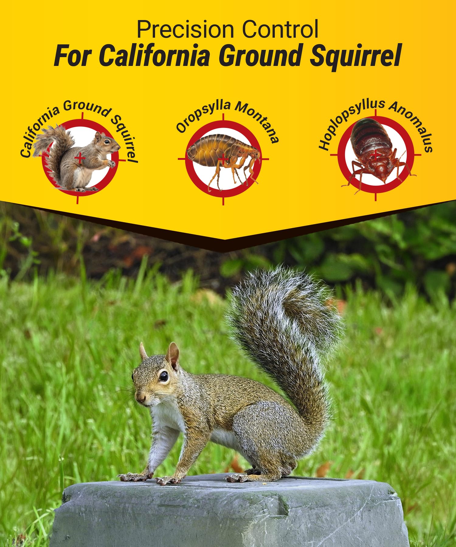 Kaput Ground Squirrel Bait - Effective Fleas & Squirrel Killer with Diphacinone & Imidacloprid - Targeted Pest Control for Outdoor Use, (5 lbs) - Image 4