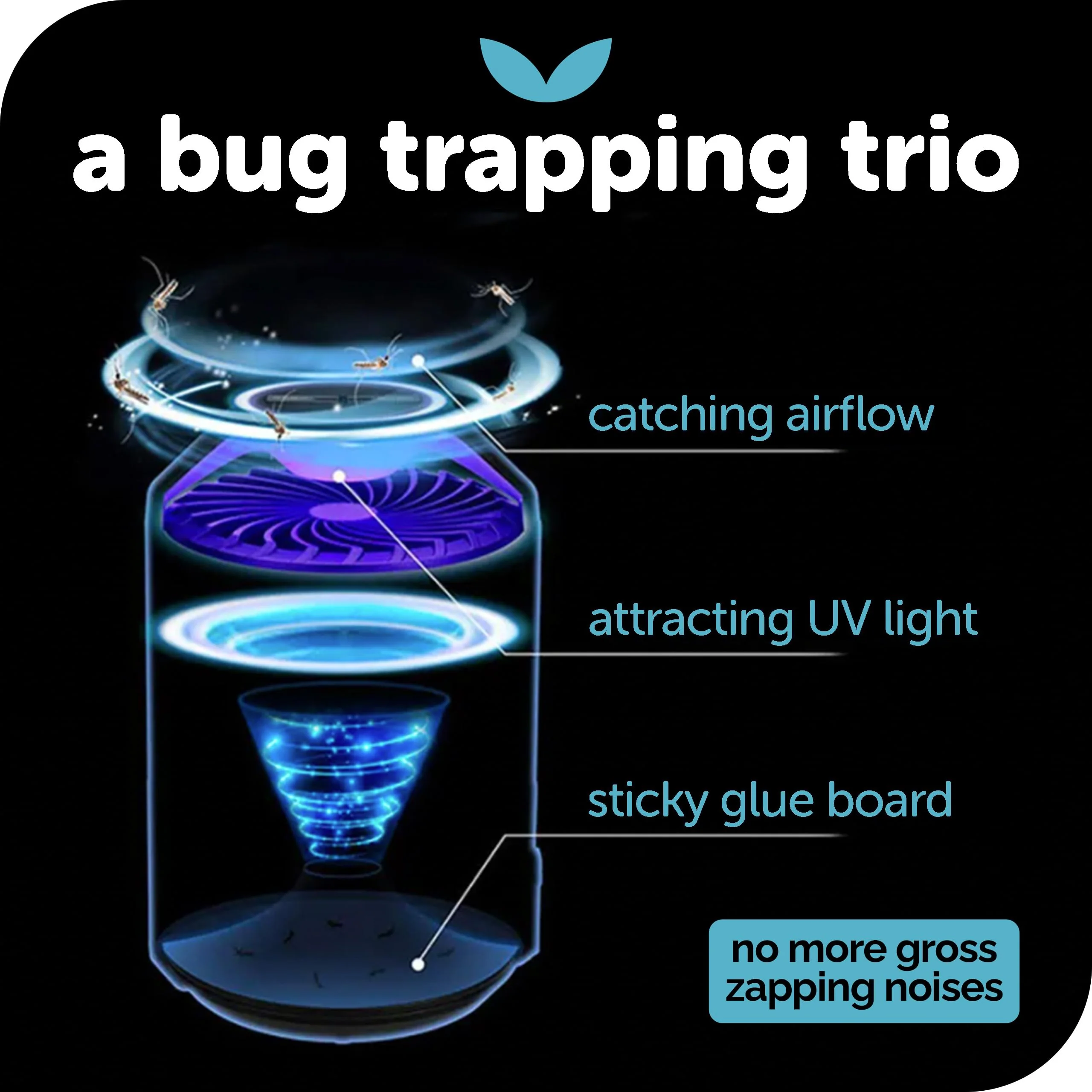 Katchy Midnight Indoor Insect Trap – Auto/Manual Mode – Blue Light & Fan Suction Catcher for Mosquito, Fruit Fly, Gnat, Fungus Gnat & Moth – Ideal for Kitchen & Indoor Plants (Black) - Image 5