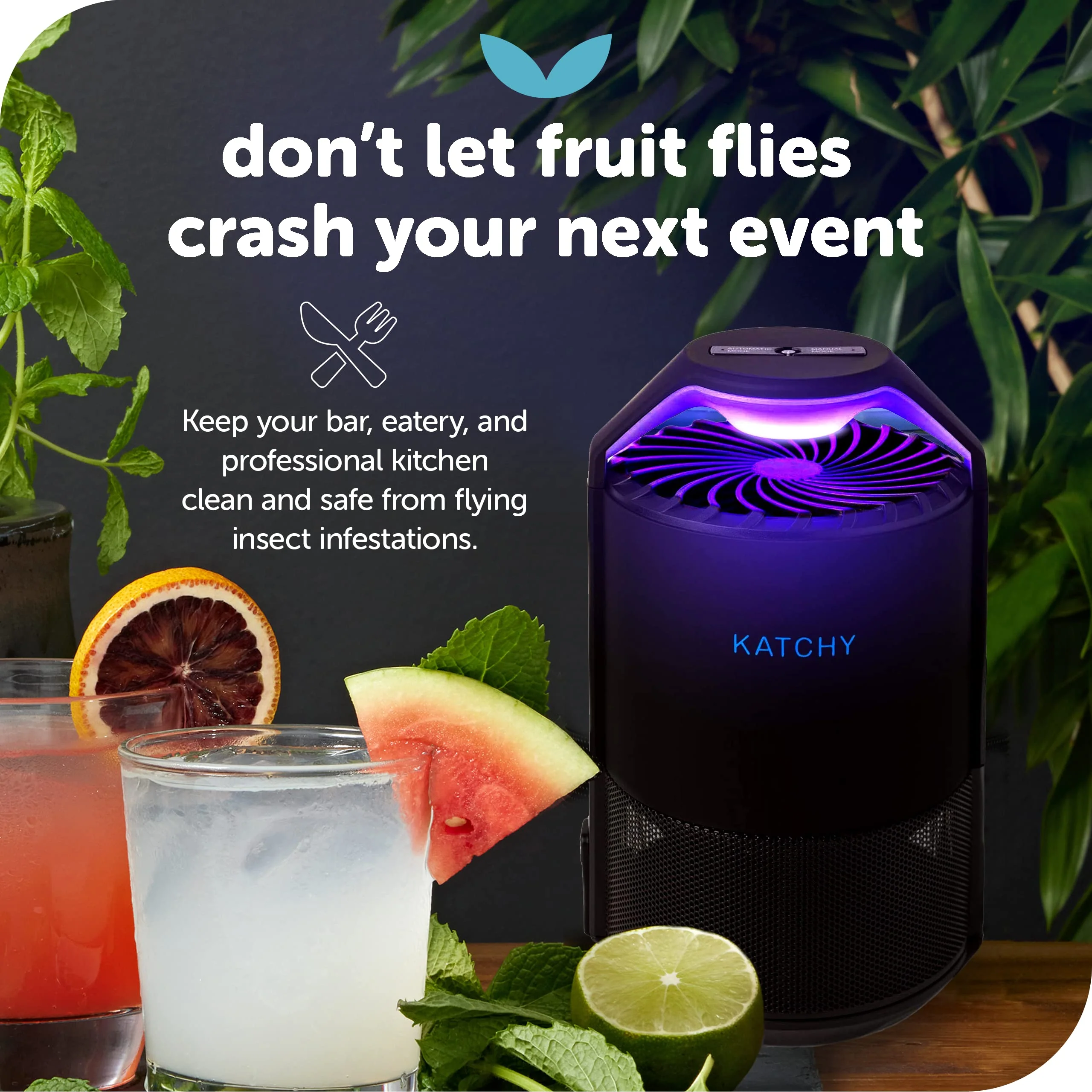 Katchy Midnight Indoor Insect Trap – Auto/Manual Mode – Blue Light & Fan Suction Catcher for Mosquito, Fruit Fly, Gnat, Fungus Gnat & Moth – Ideal for Kitchen & Indoor Plants (Black) - Image 6