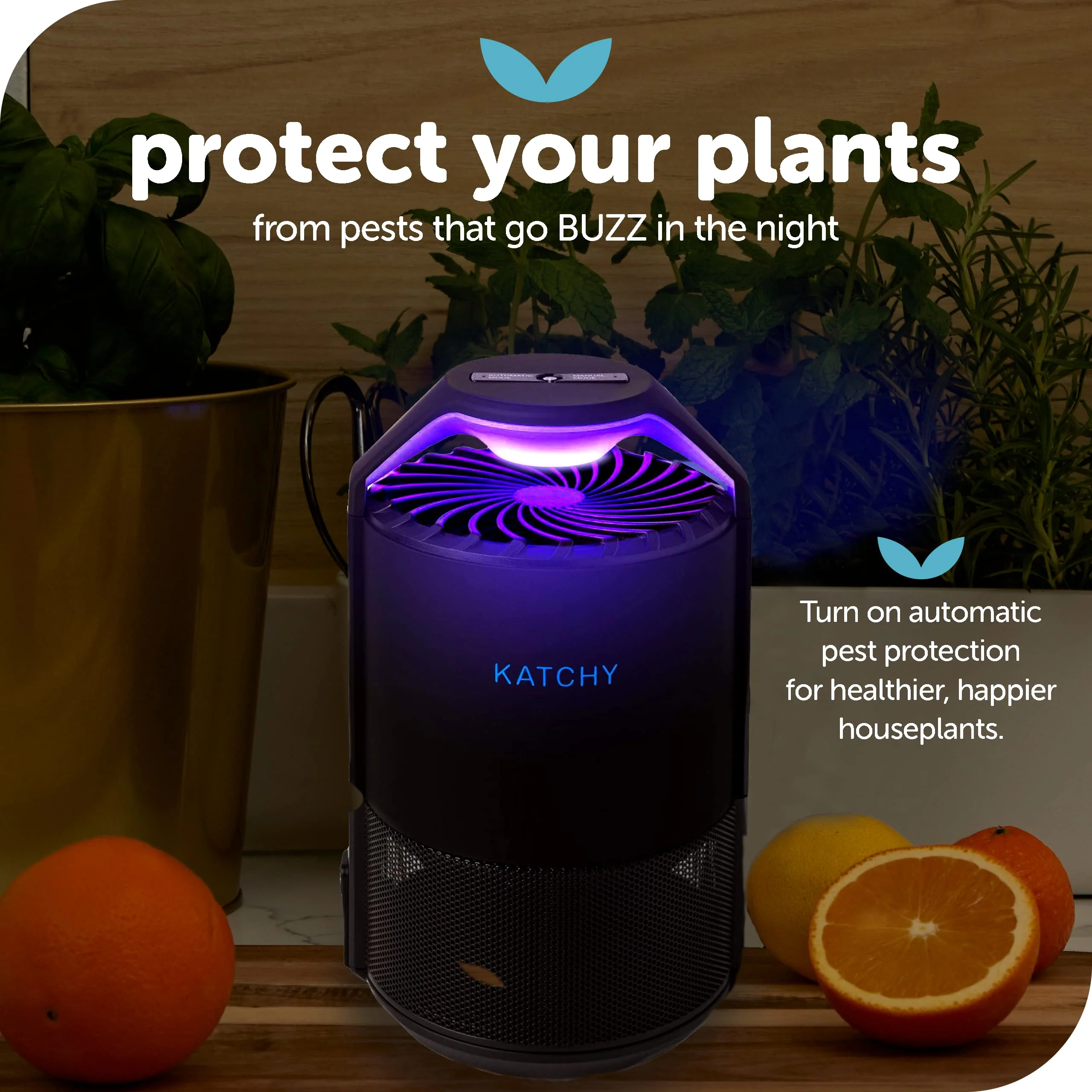 Katchy Midnight Indoor Insect Trap – Auto/Manual Mode – Blue Light & Fan Suction Catcher for Mosquito, Fruit Fly, Gnat, Fungus Gnat & Moth – Ideal for Kitchen & Indoor Plants (Black) - Image 7