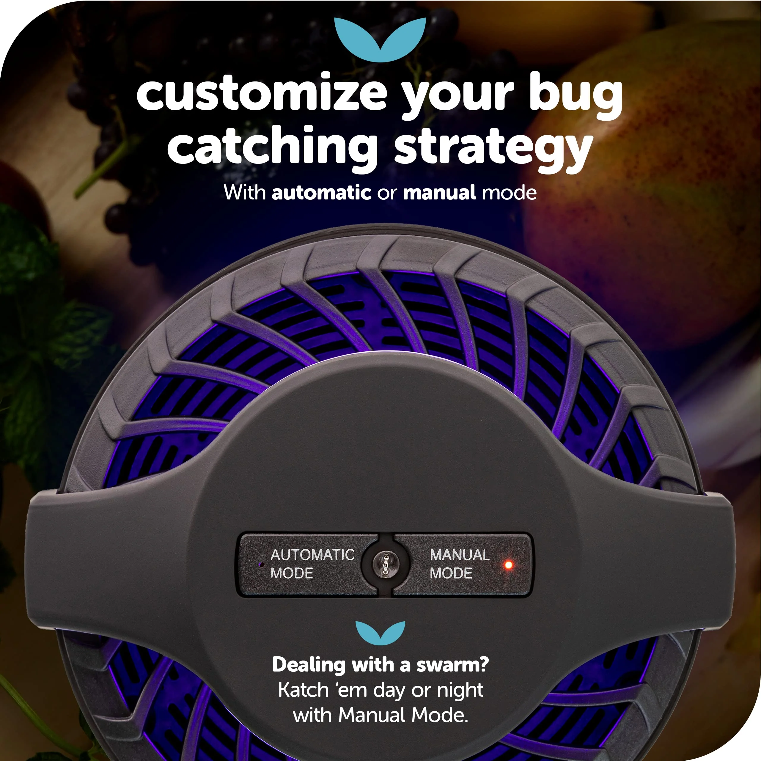 Katchy Midnight Indoor Insect Trap – Auto/Manual Mode – Blue Light & Fan Suction Catcher for Mosquito, Fruit Fly, Gnat, Fungus Gnat & Moth – Ideal for Kitchen & Indoor Plants (Black) - Image 8