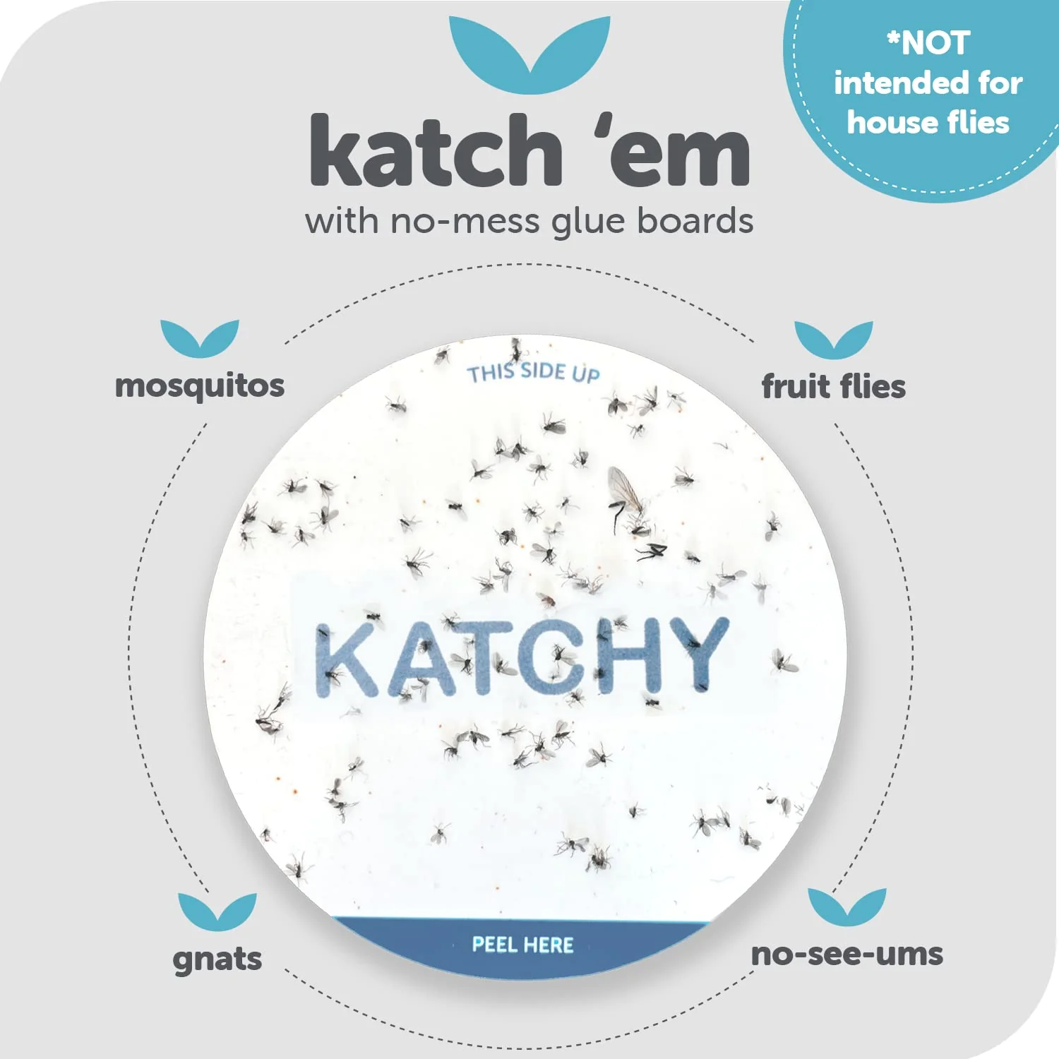 Katchy Original and Midnight Glue Board Refills (16 Pack) – Catcher & Killer for Mosquito, Gnat, Moth & Fruit Fly – Indoor Flying Insect Trap Glue Board Refills – Non-Zapper Traps for Buzz-Free Home - Image 7