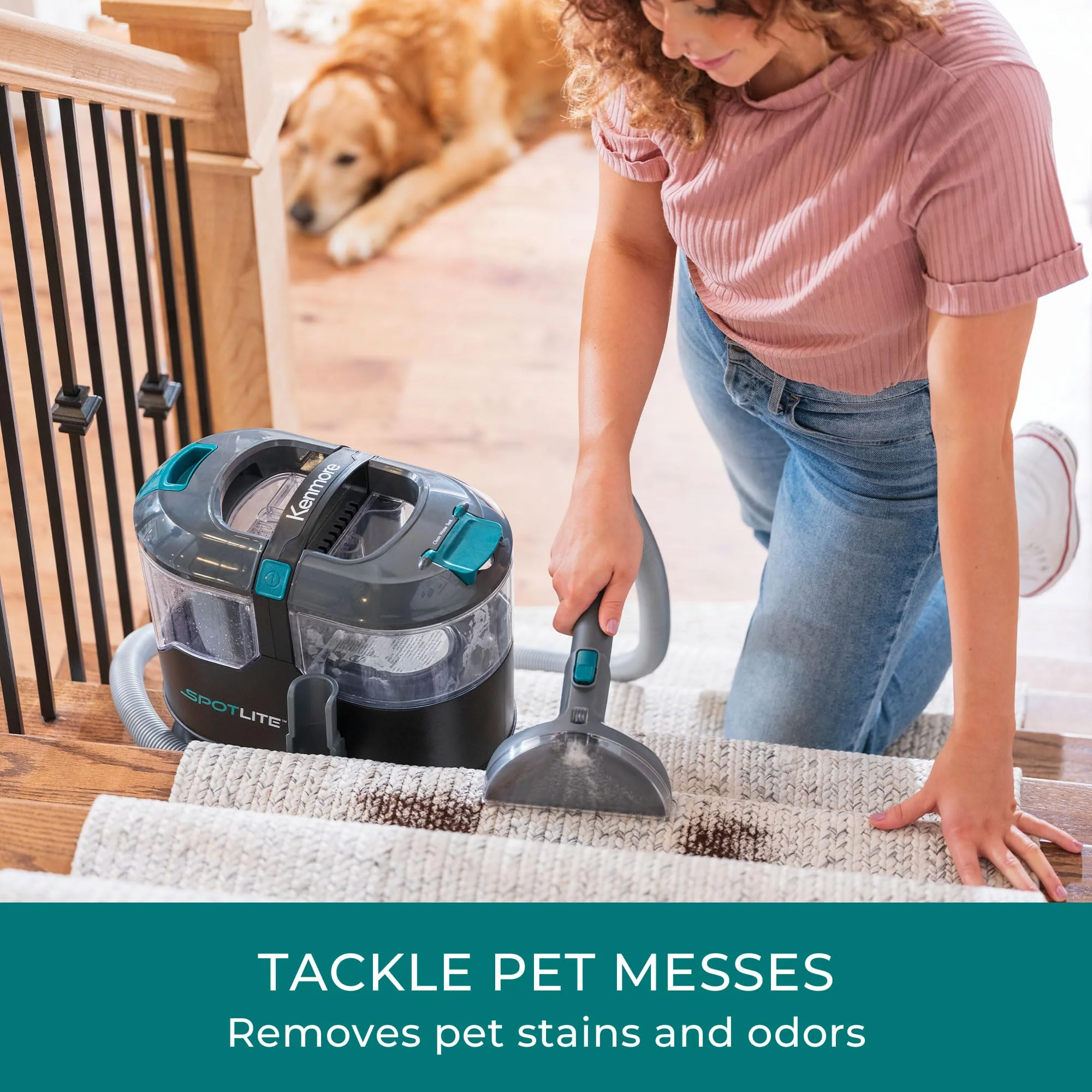 Kenmore KS1010 Deep Clean & Revitalize Pet Carpet Spot Cleaner Formula, 64 Oz for Carpet, Rugs, and Upholstery, Eliminates Pet Stains, Messes and Odors - Image 4