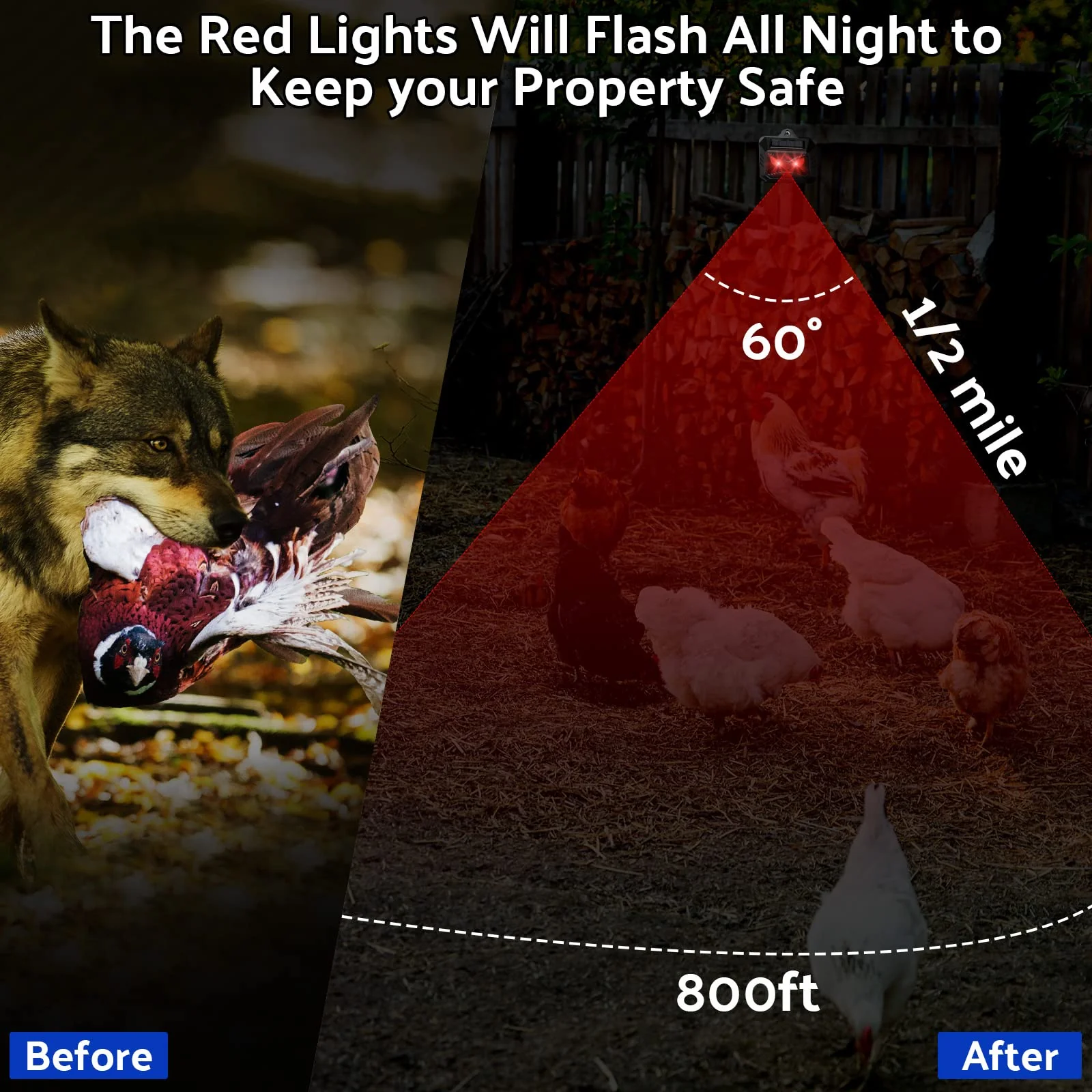 Kittmip Solar Control Light Nocturnal Animal Repeller Outdoor Deterrent Devices Light Sensor Animal Repellent for Skunk Deer Coyote Fox Raccoon Cat Garden Yard Farm Chicken Coop (12, Black) - Image 5