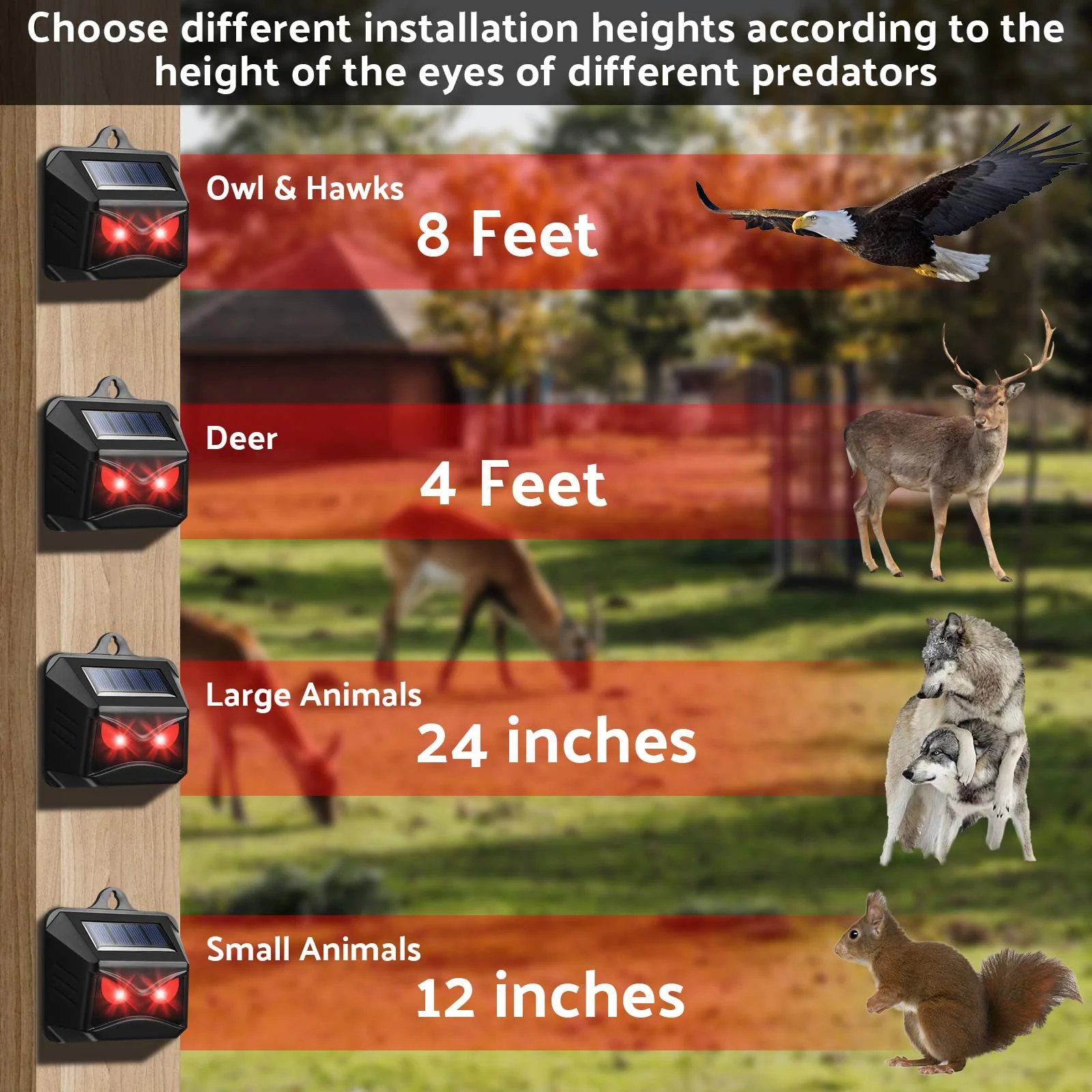 Kittmip Solar Control Light Nocturnal Animal Repeller Outdoor Deterrent Devices Light Sensor Animal Repellent for Skunk Deer Coyote Fox Raccoon Cat Garden Yard Farm Chicken Coop (18, Black) - Image 6