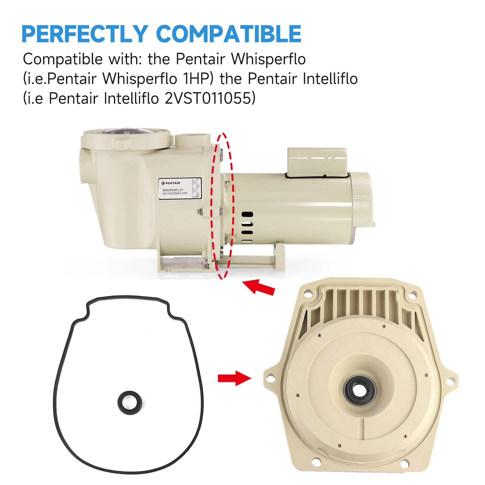 Kolasina 25357-300-000 074564 Seal Plate Fits for Pentair Whisperflo Intelliflo Swimming Pool Pump with Seal Plate Gasket & Shaft Seal PS-1000 & Drain Plugs 071131-192115 - Image 3