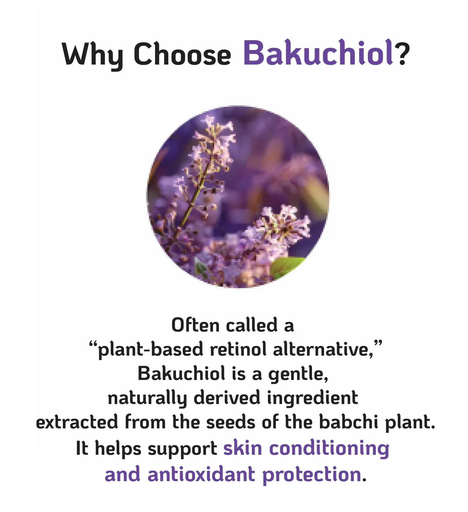 Korean Bakuchiol Concentrate Mix 2 Drops In Any Step of Your Skin Care Routine Retinol Alternative Non GMO Vegan Certificate Safe Natural Botanical Antioxidant Cold Pressed 10000ppm 30ml - Image 5