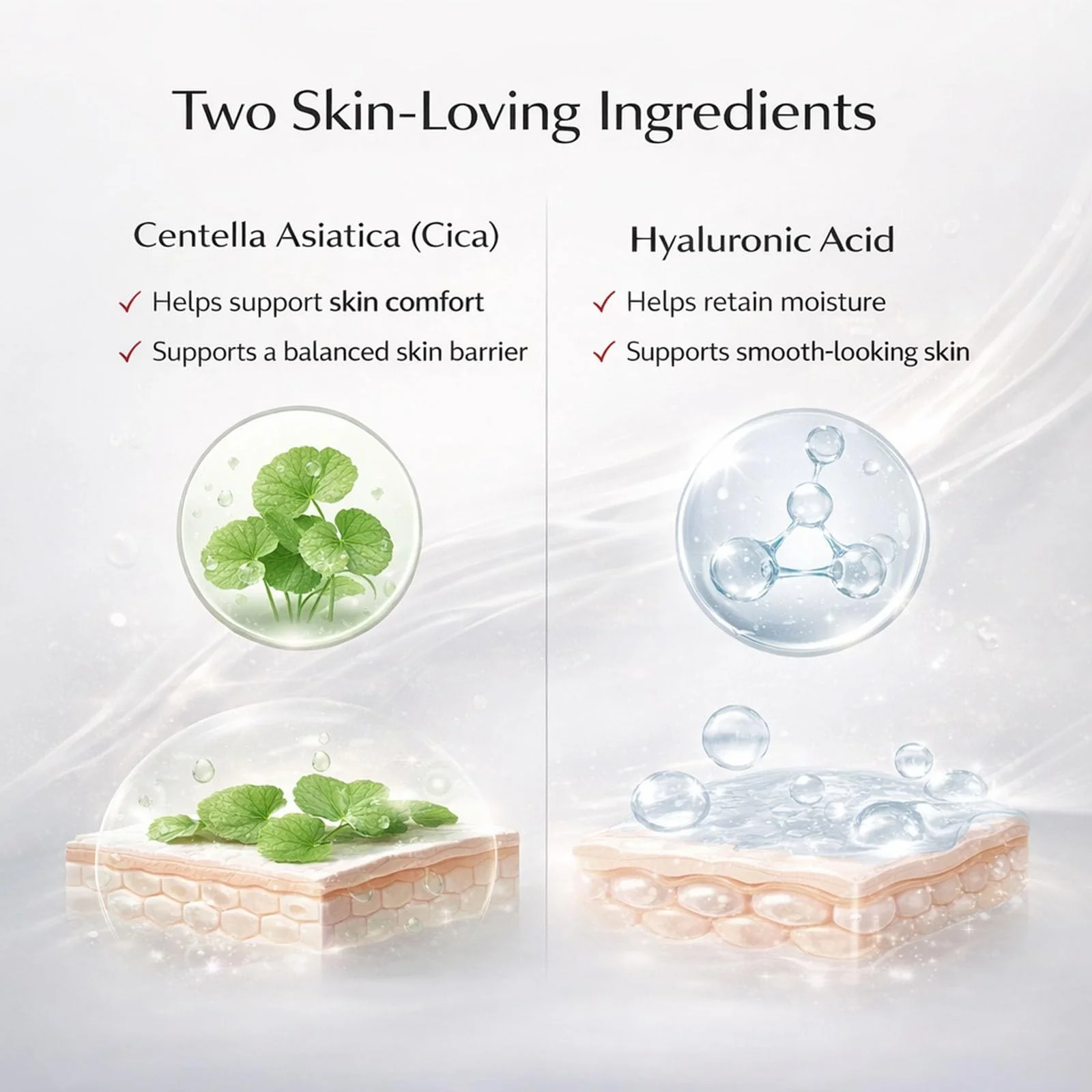 KORIDERM Cream, All-In-One Daily Moisturizing Face Cream with Centella Asiatica (Cica) & Hyaluronic Acid – Lightweight All-in-One Skin Care for Daily Comfort – 50 mL / 1.69 fl oz (1) - Image 8