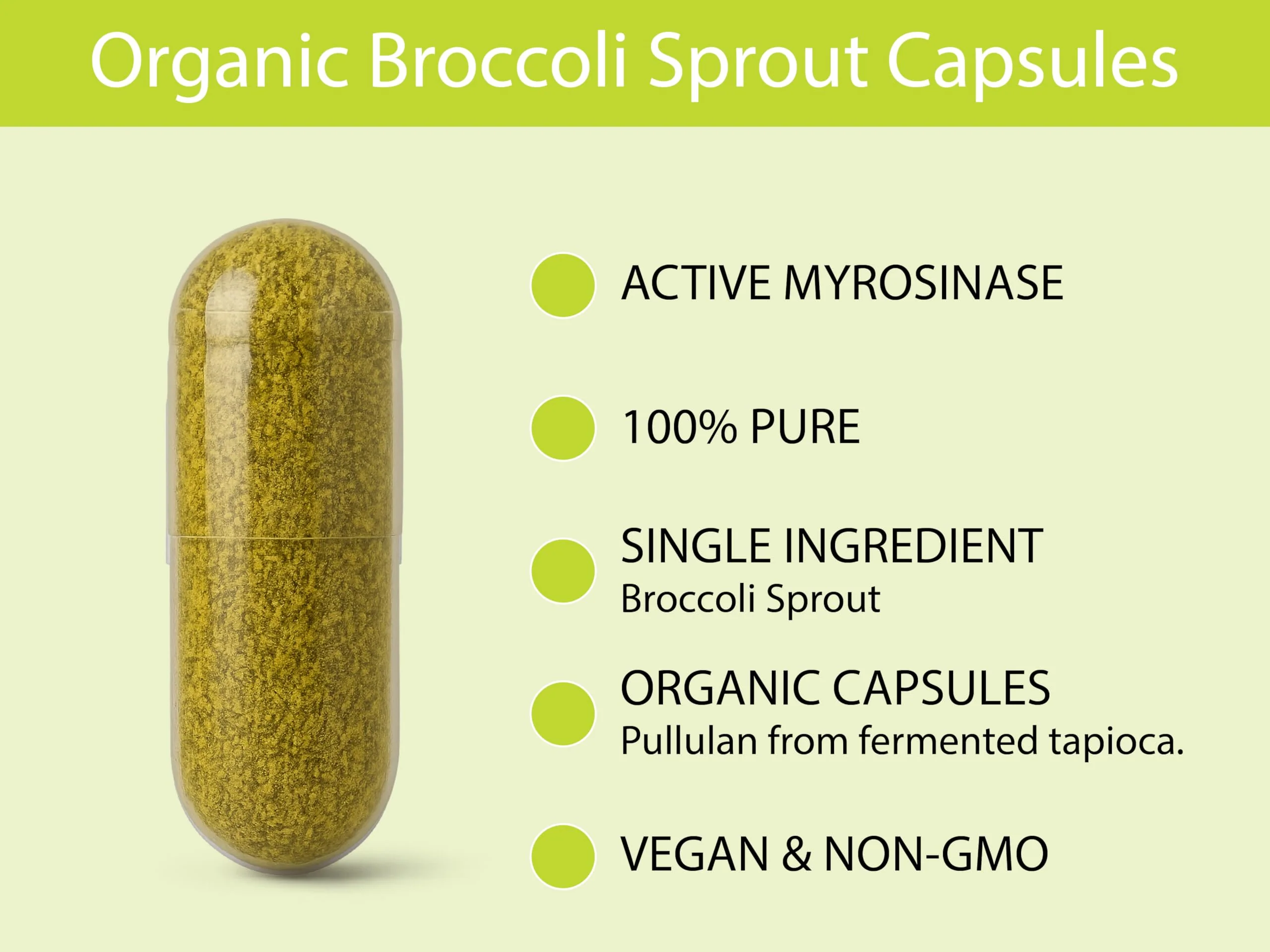 KOYAH - Organic Broccoli Sprout Capsules – Freeze-Dried Whole Broccoli Sprouts – 3rd Party Tested for Active Myrosinase & Glucoraphanin (Sulforaphane Glucosinolate) - 60 Capsules - Image 7