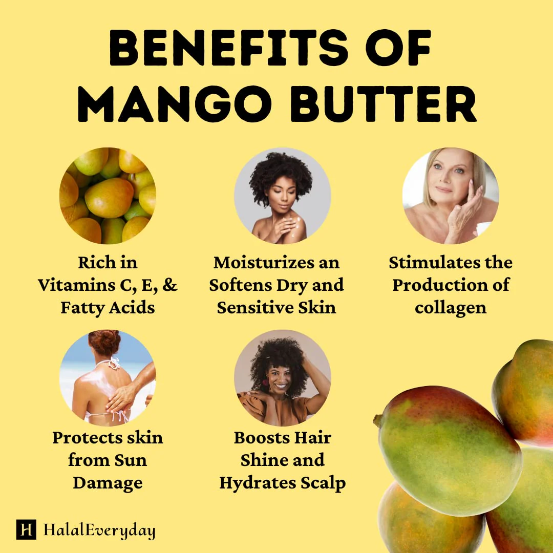 Kyabo 3Lbs MANGO BUTTER PREMIUM Organic Unrefined Raw Virgin 100% Pure Cold Press Grade A Non GMO 100% Natural For Skin BodyCare Beauty Moisturizer DIY For Body Butters, Soap Making,Lotions, Creams… - Image 5