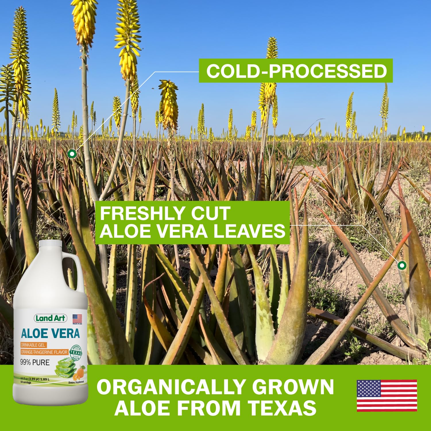 Land Art Pure Aloe Vera Drinkable Gel - Orange Tangerine Flavored - Cold-Processed Inner Filet - from Organic Fresh Leaves from Texas - for Heartburn Relief - Acid Reflux - 64 fl oz - Image 8