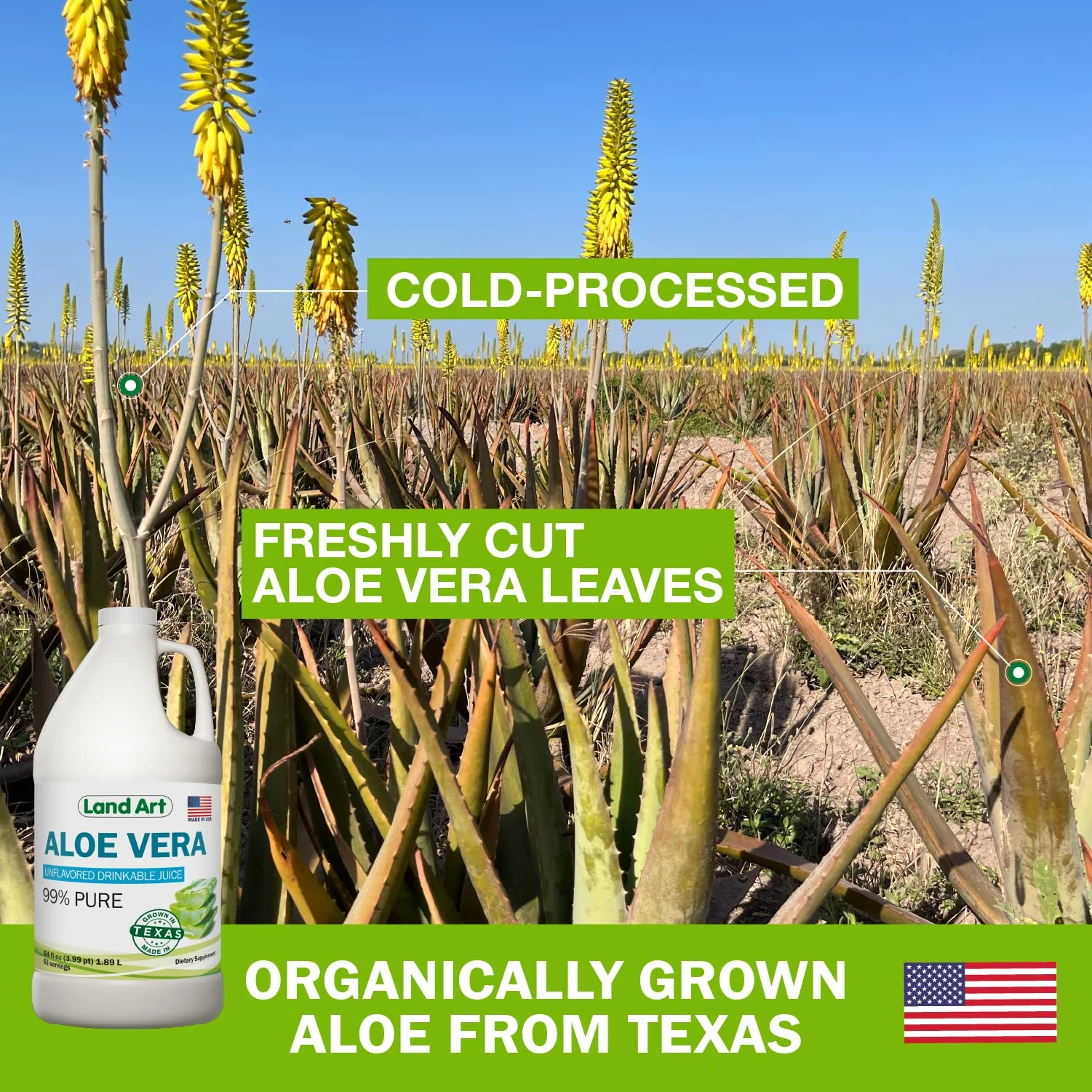 Land Art - Pure Aloe Vera Juice Unflavored – Cold-Processed - 99.7% Organic Aloe Vera Inner Fillet from Fresh Texas Leaves – Digestive Health, Detox and Natural Wellness – 64 fl oz - Image 6