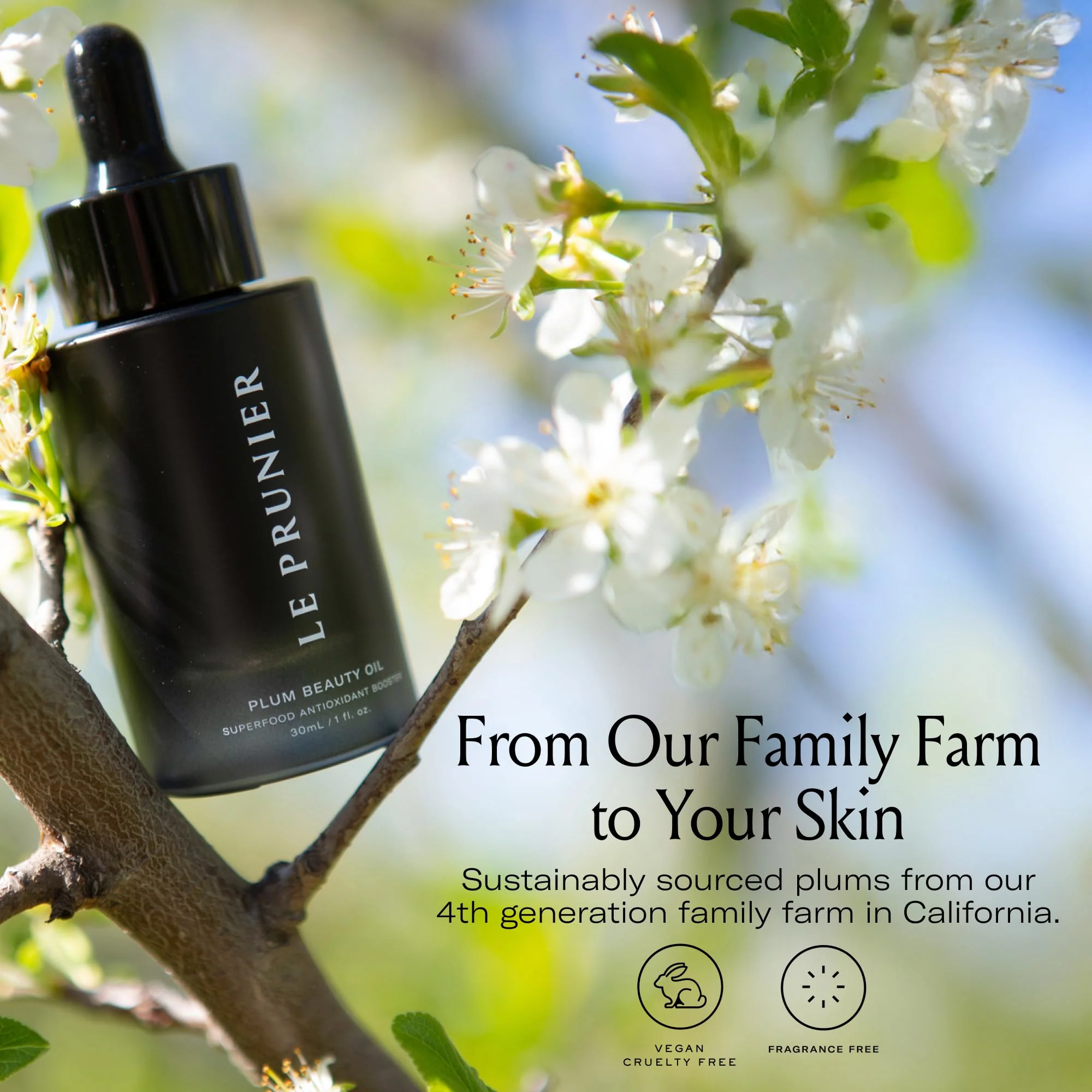 Le Prunier Plum Beauty Oil – Superfood Antioxidant Facial Oil | Vegan, Non-Comedogenic, Multi-Use Moisturizing Oil for Face, Hair & Body | Hydrating, Clean, Cruelty-Free Skincare | 1 fl oz - Image 4